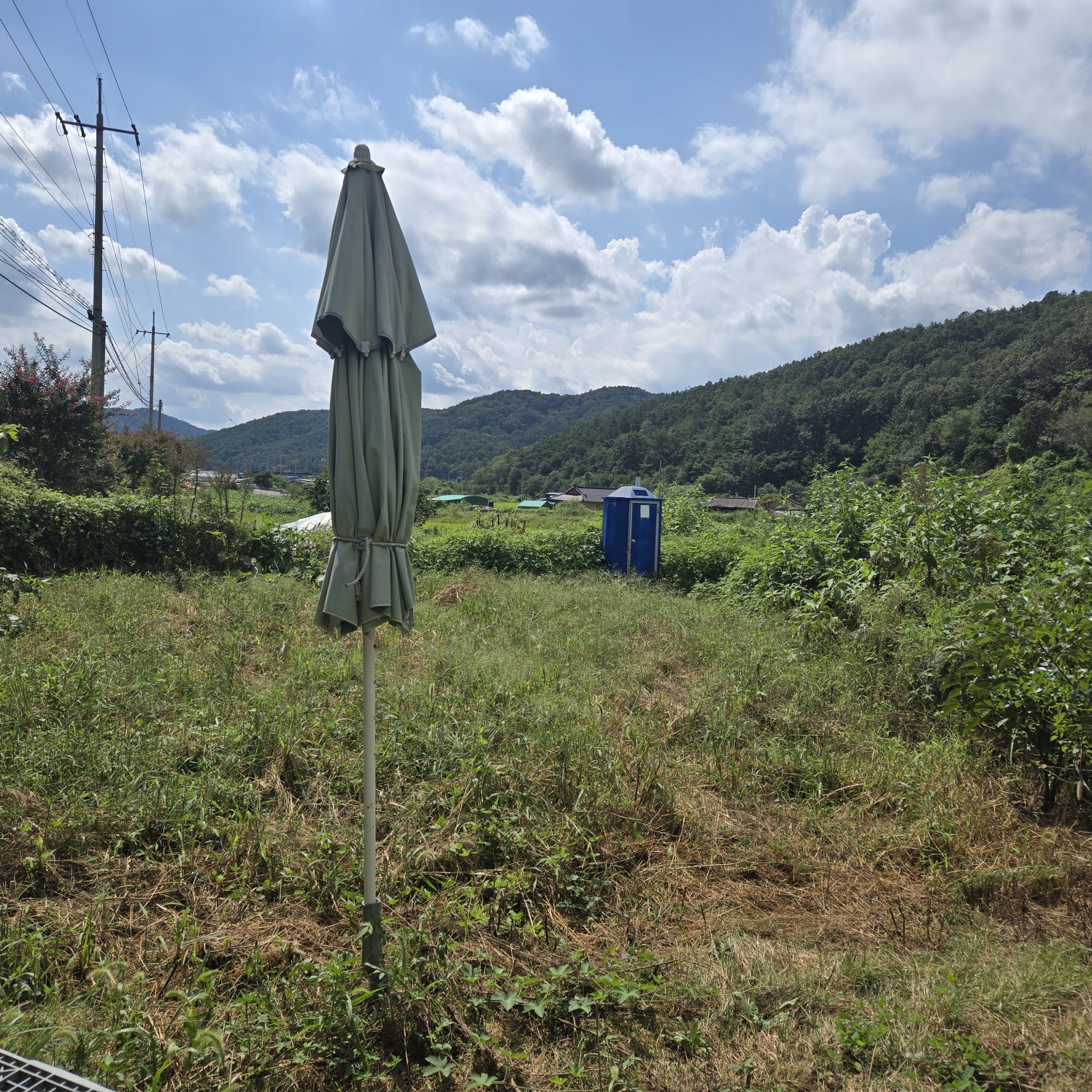 몽땅다 작은 쉼터텃밭 매매 사진 - 1