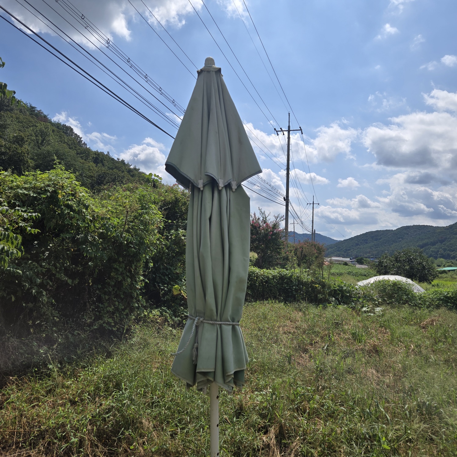 몽땅다 작은 쉼터텃밭 매매 사진 - 2