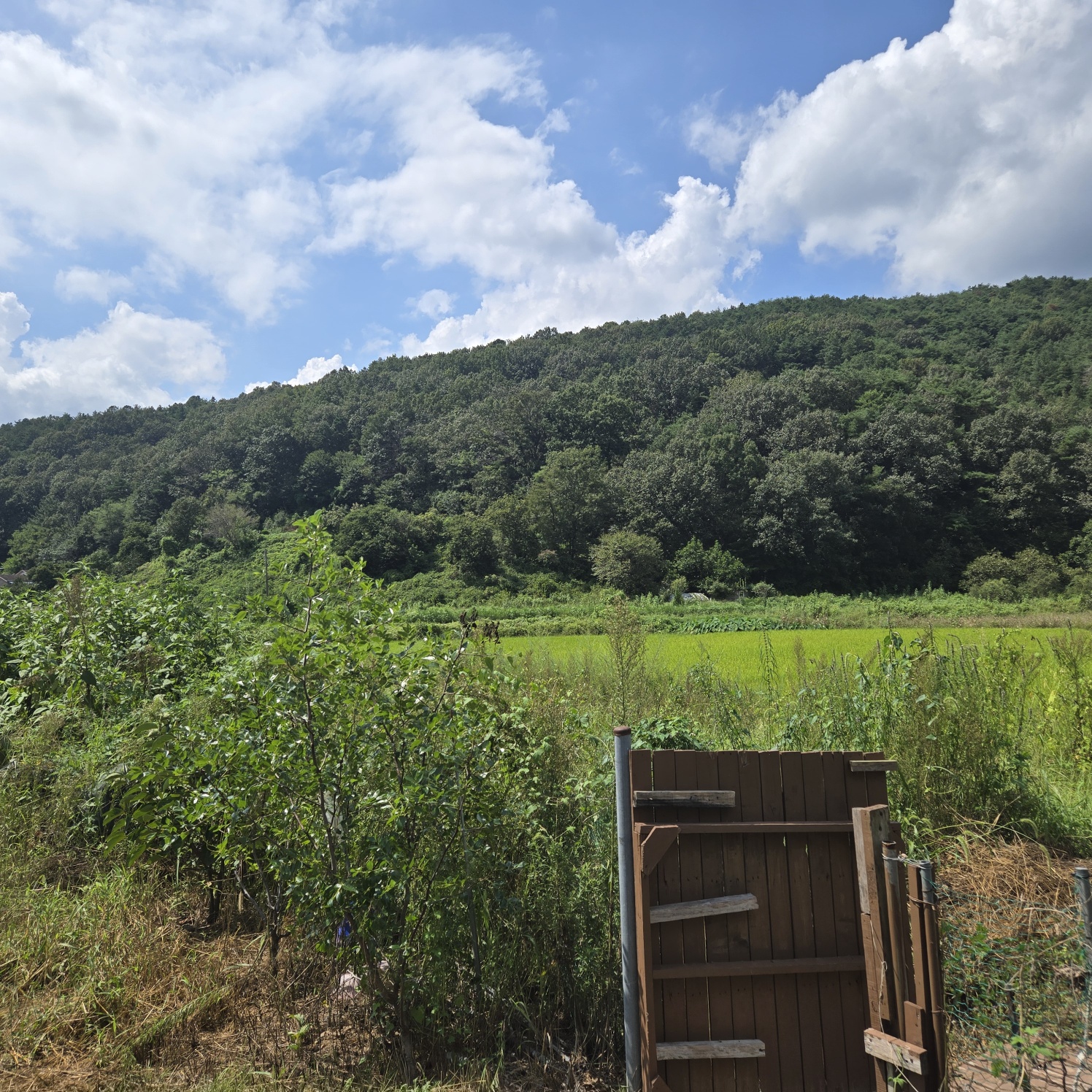 몽땅다 작은 쉼터텃밭 매매 사진 - 3