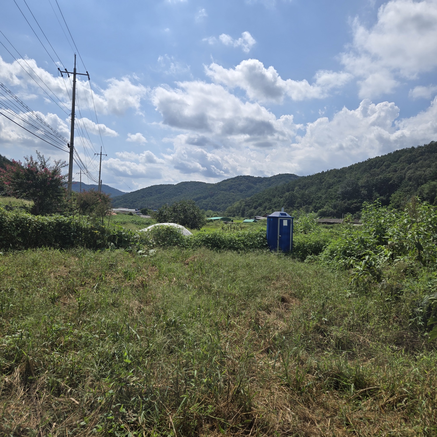 몽땅다 작은 쉼터텃밭 매매 사진 - 4