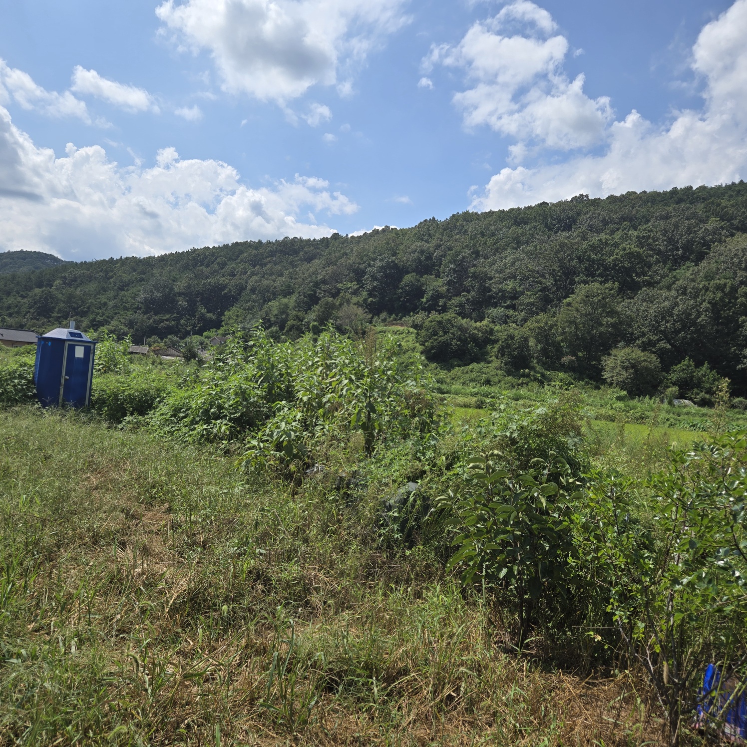 몽땅다 작은 쉼터텃밭 매매 사진 - 5