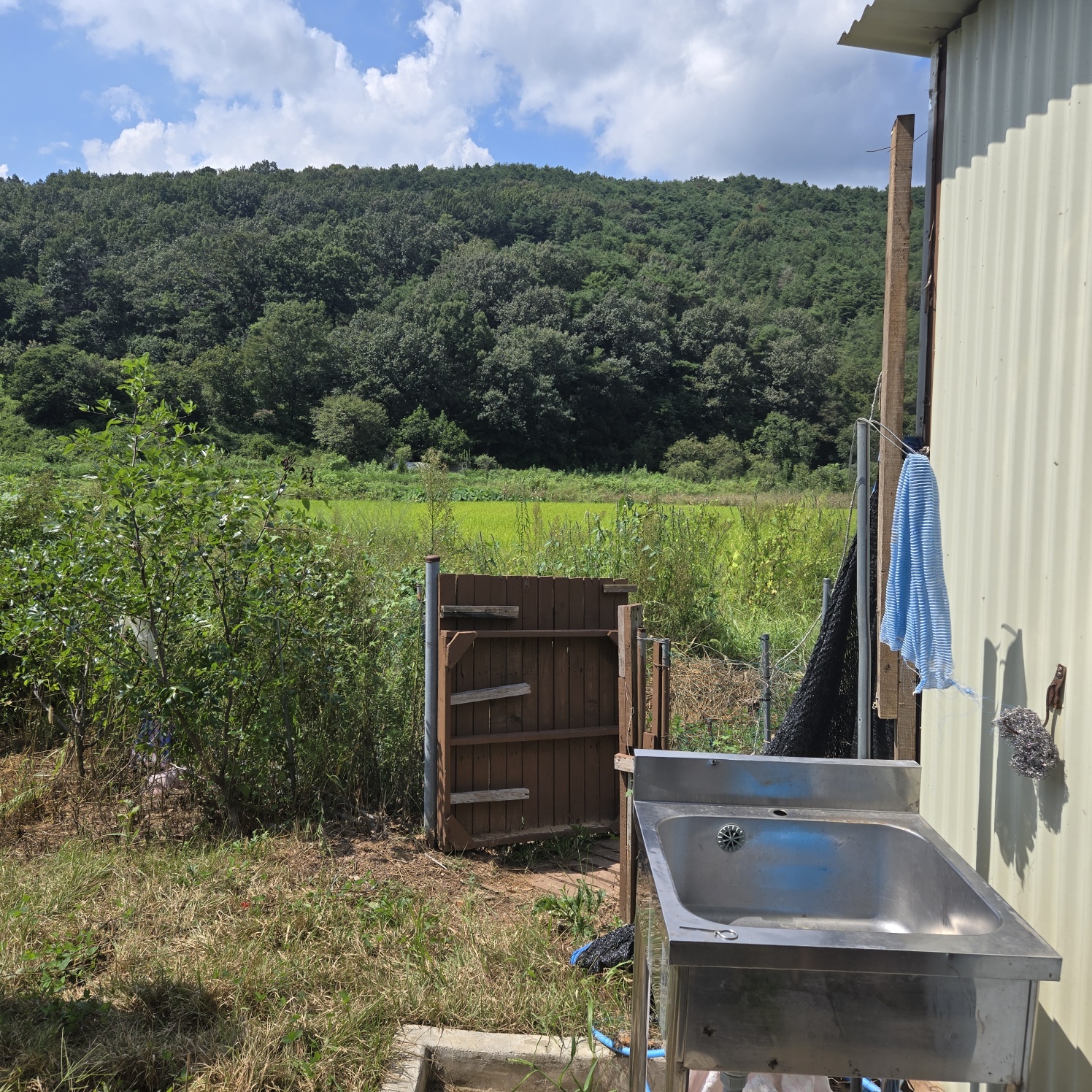 몽땅다 작은 쉼터텃밭 매매 사진 - 6