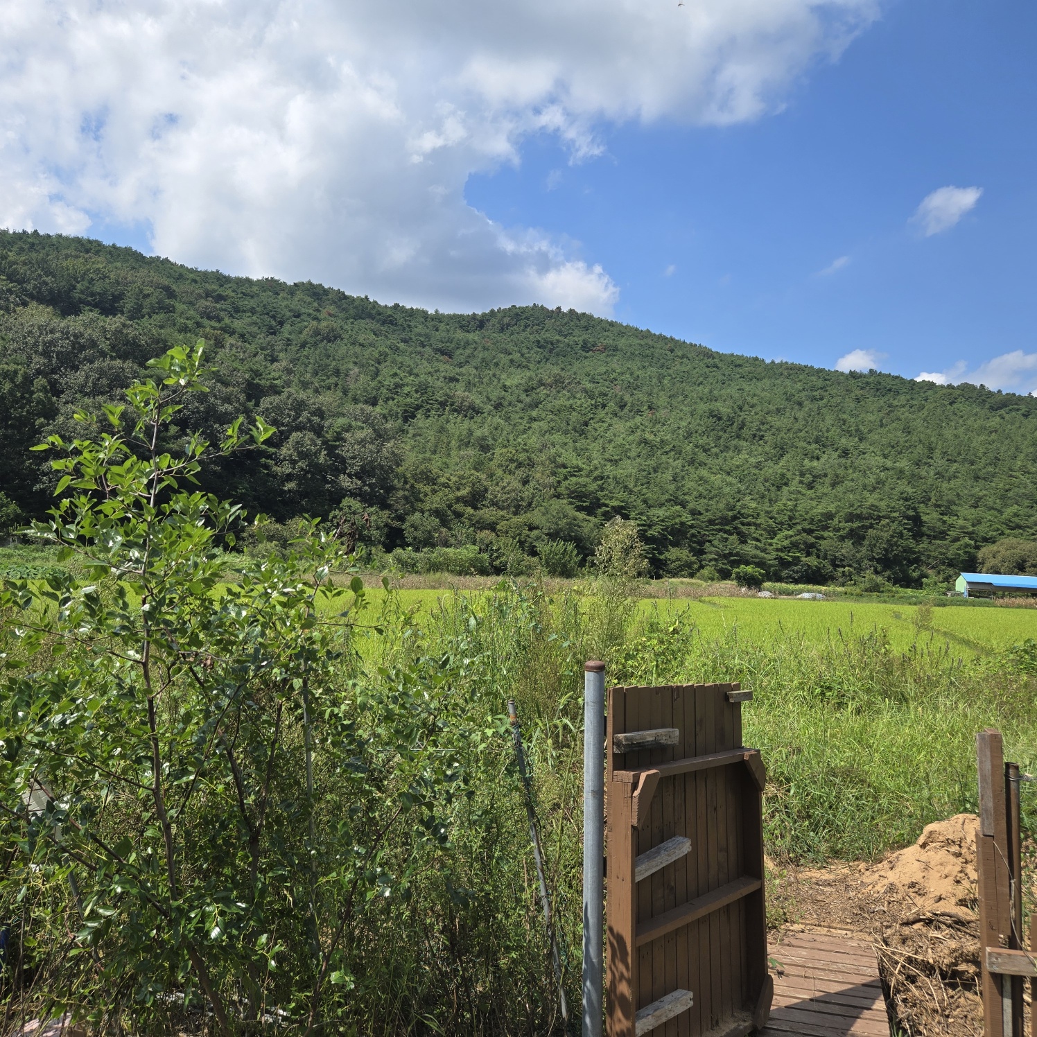 몽땅다 작은 쉼터텃밭 매매 사진 - 8