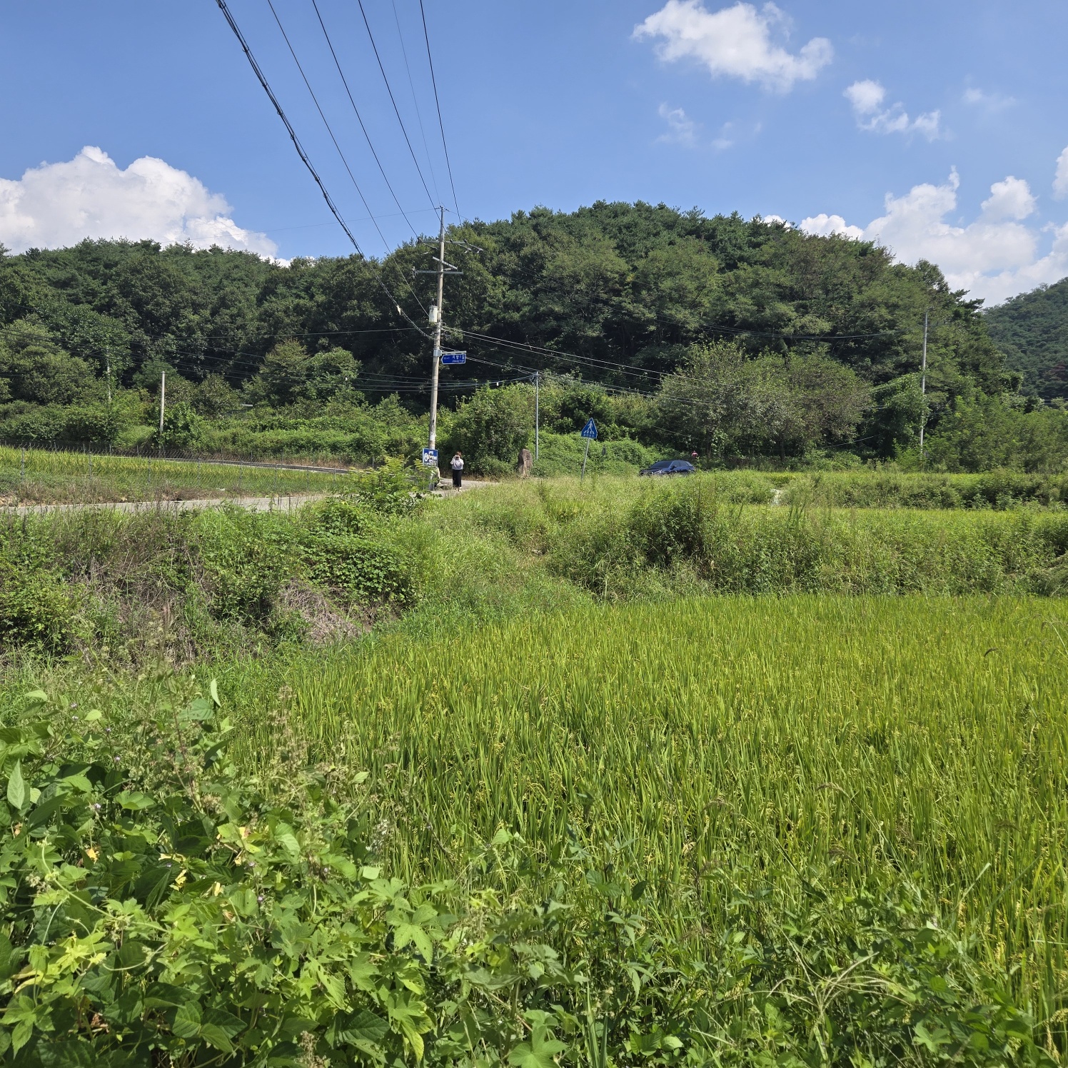 급급매2차접다용도 토지 사진 - 7