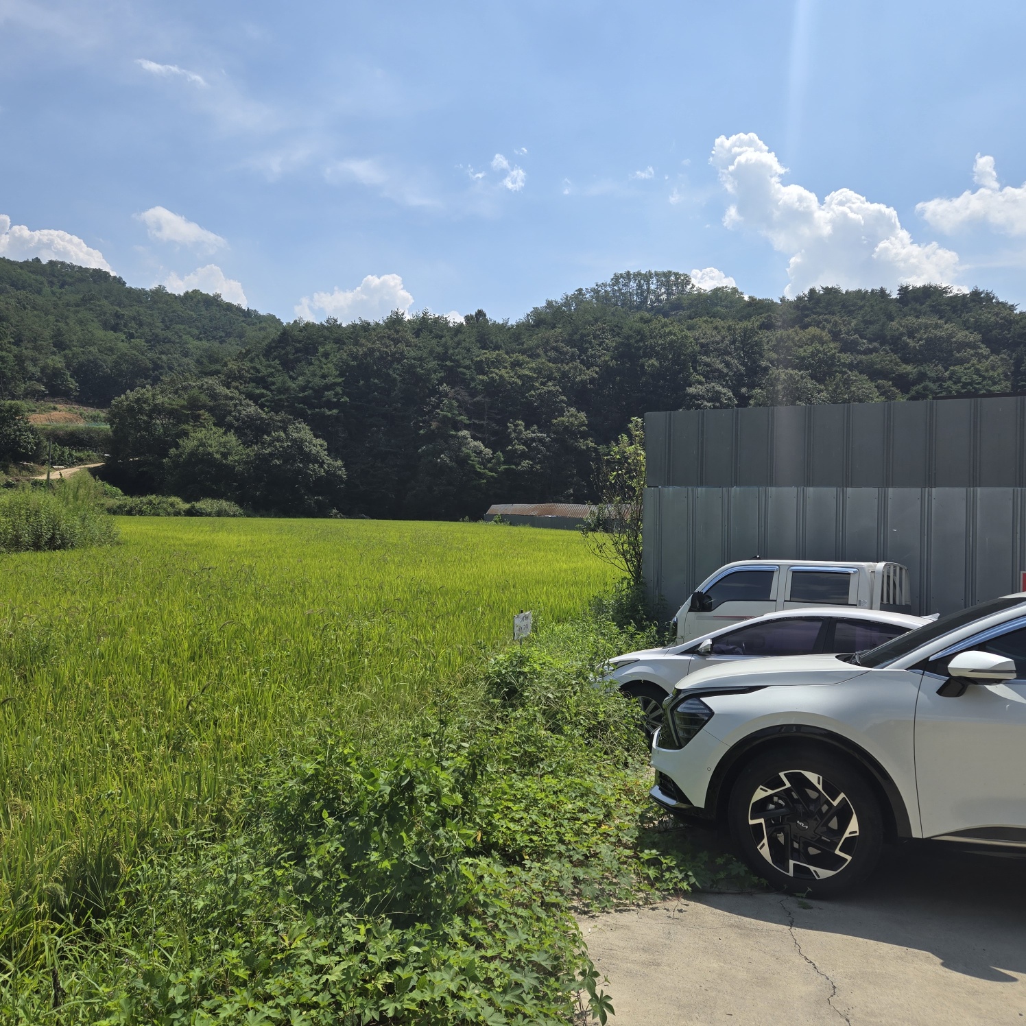 급급매2차접다용도 토지 사진 - 8