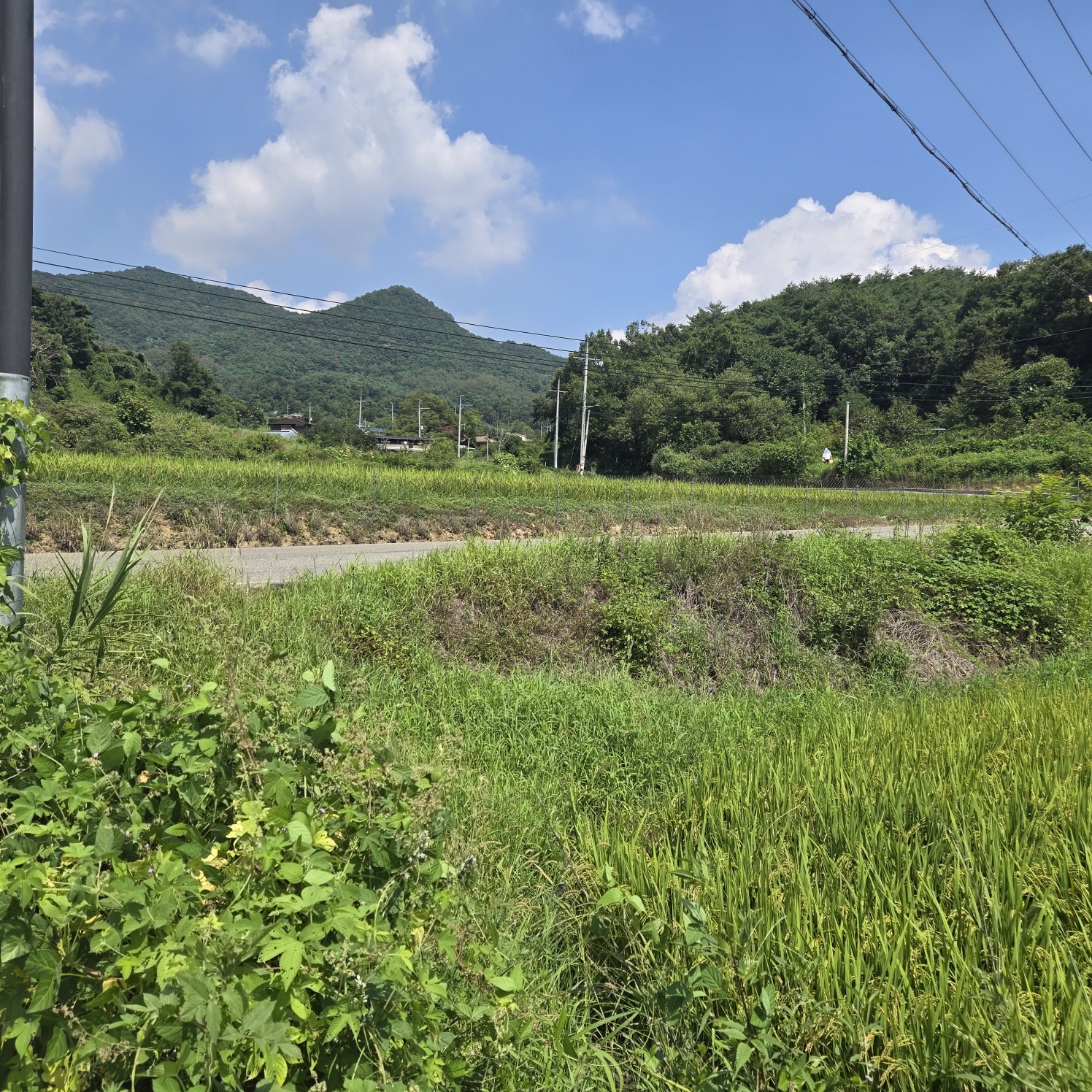 급급매2차접다용도 토지 사진 - 9