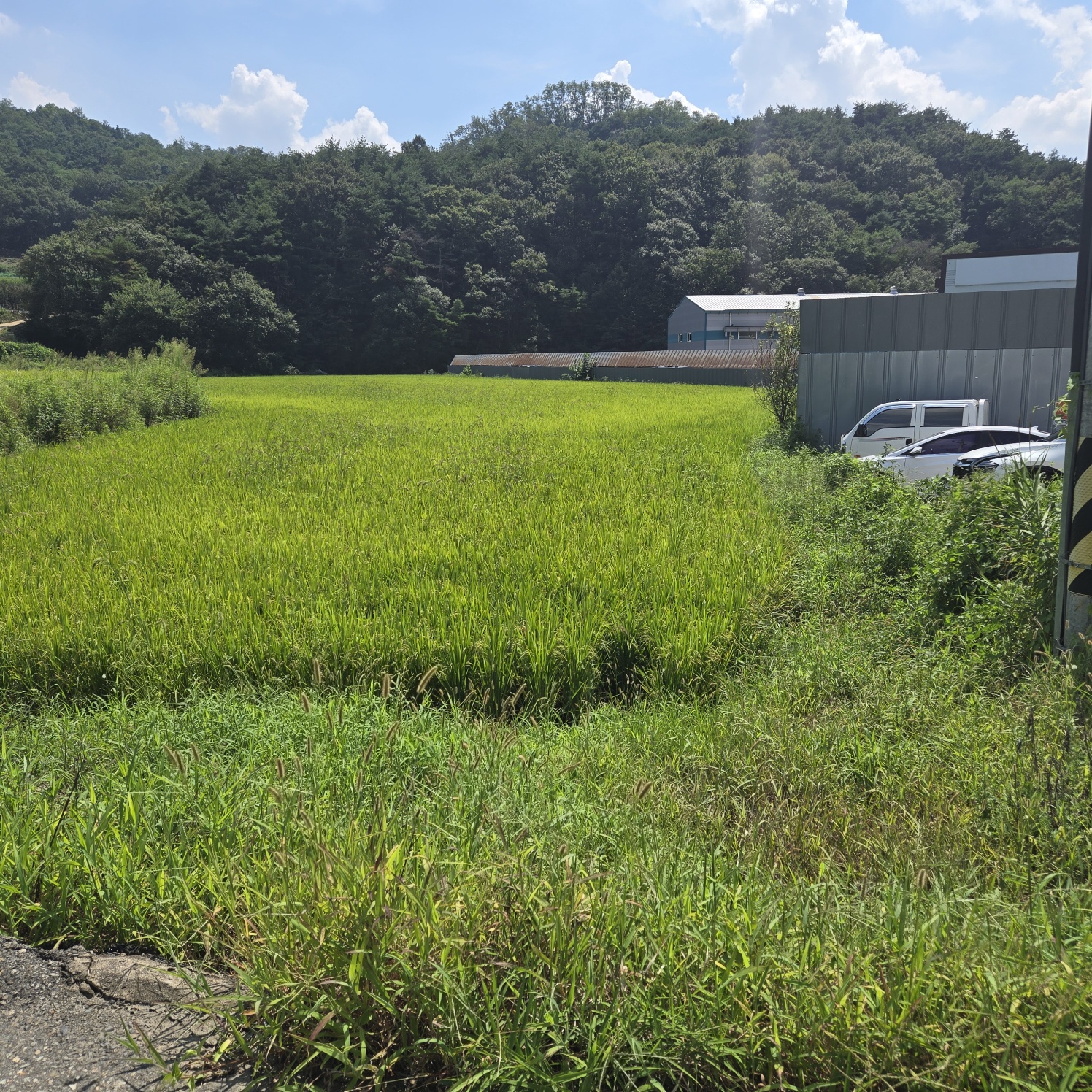 급급매2차접다용도 토지 사진 - 11