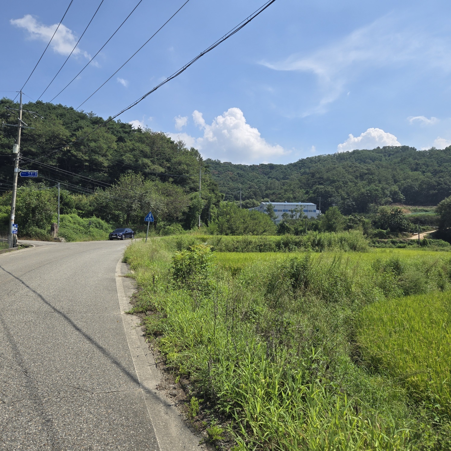 급급매2차접다용도 토지 사진 - 12