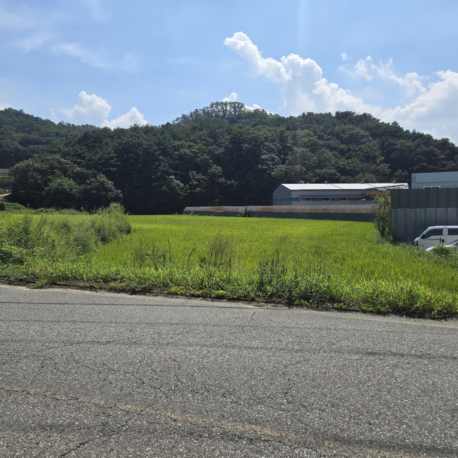 급급매2차접다용도 토지 사진 - 13