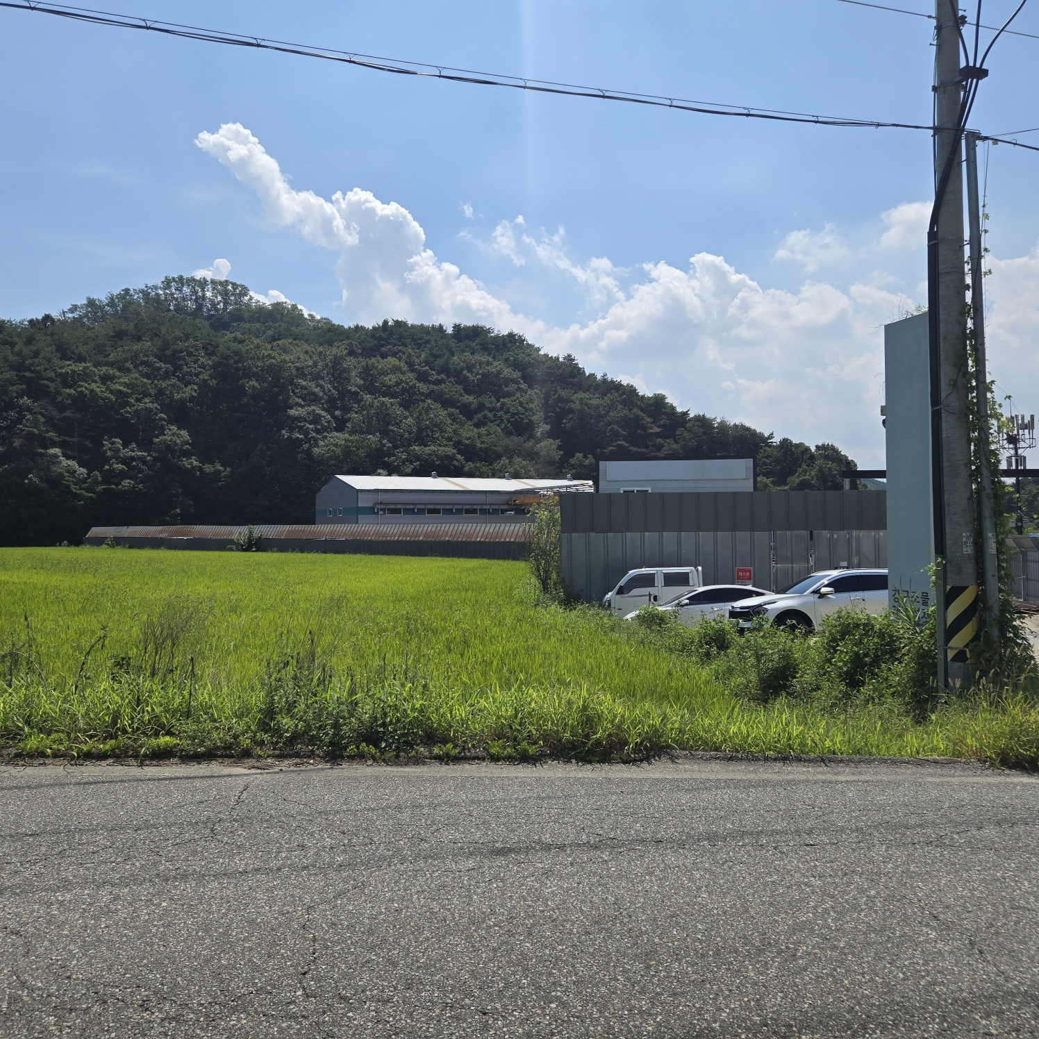 급급매2차접다용도 토지 사진 - 1