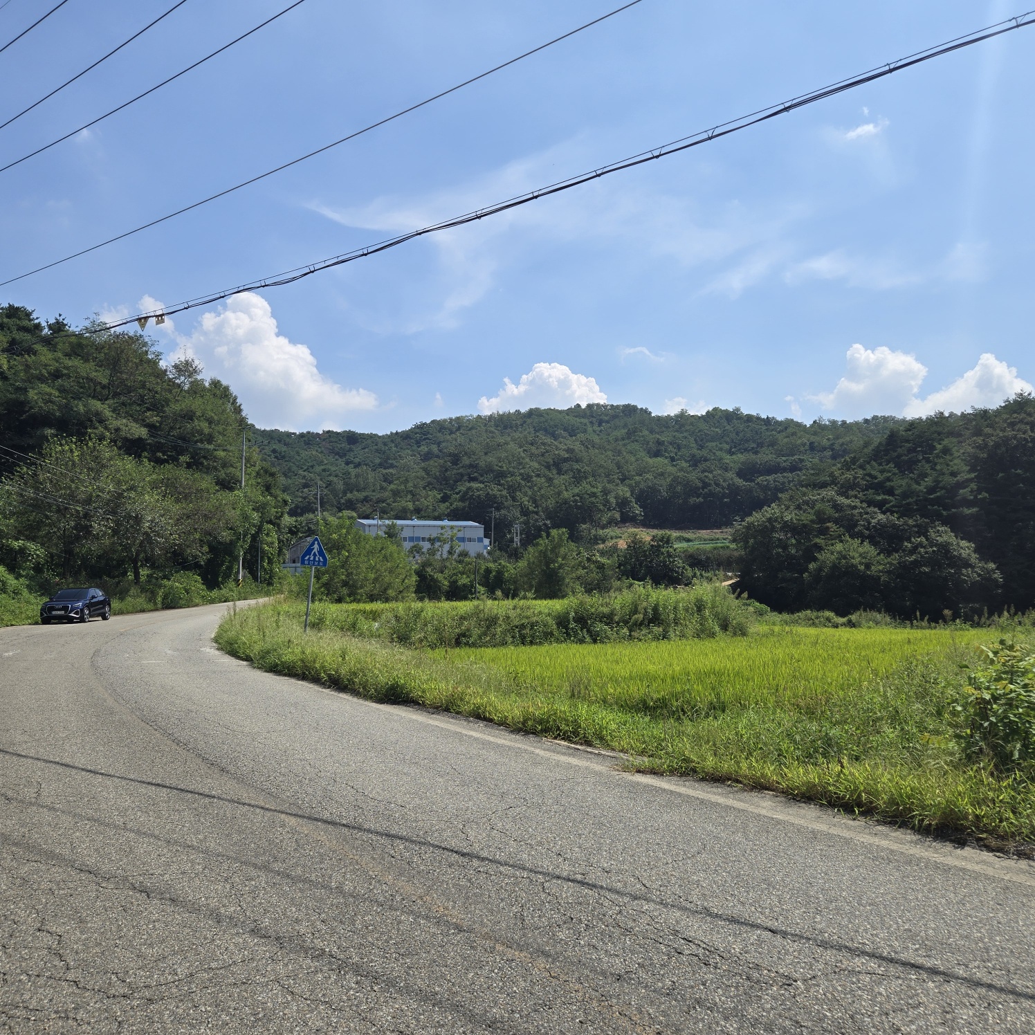 급급매2차접다용도 토지 사진 - 2