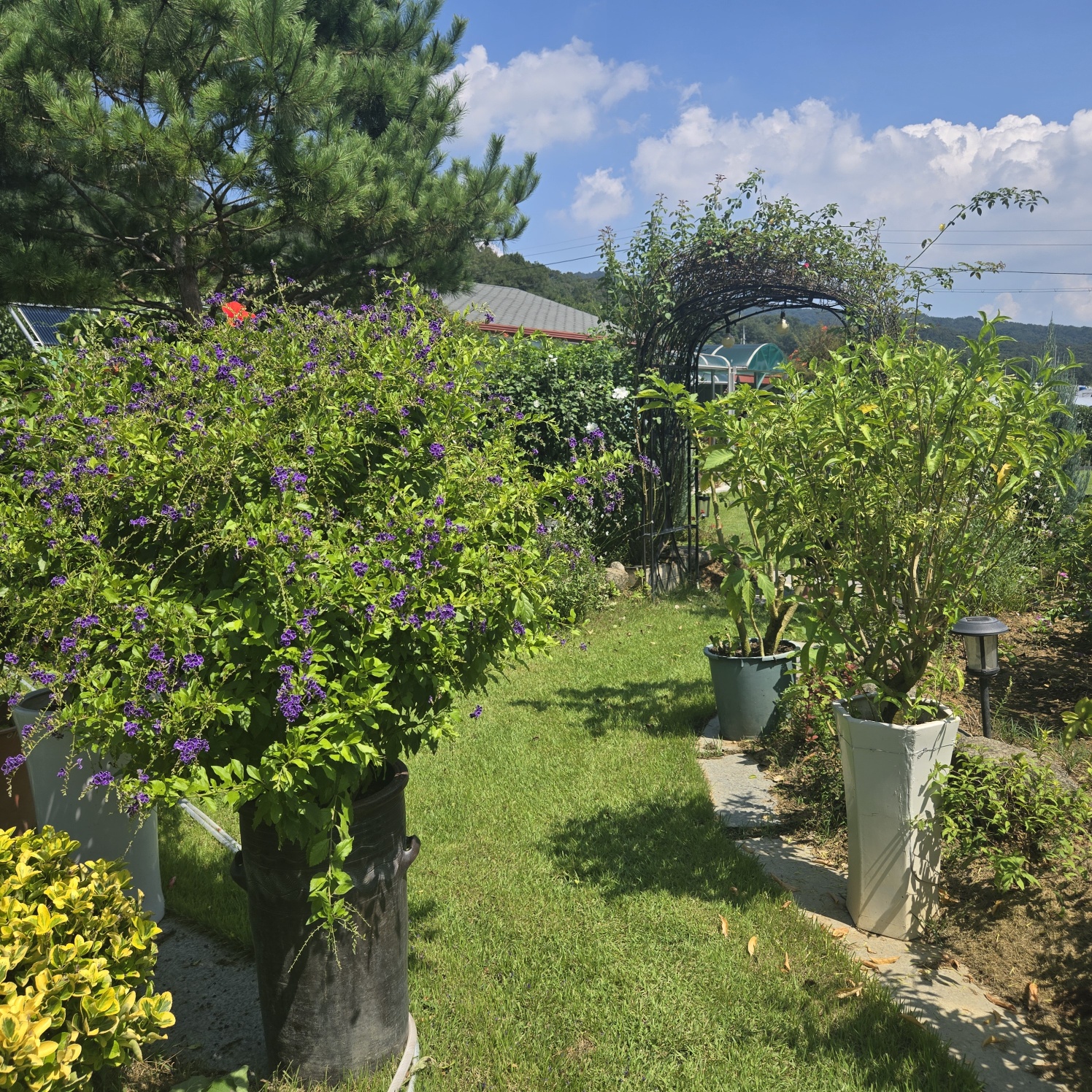 꽃들이 만발 화원같은 전원주택. 사진 - 15