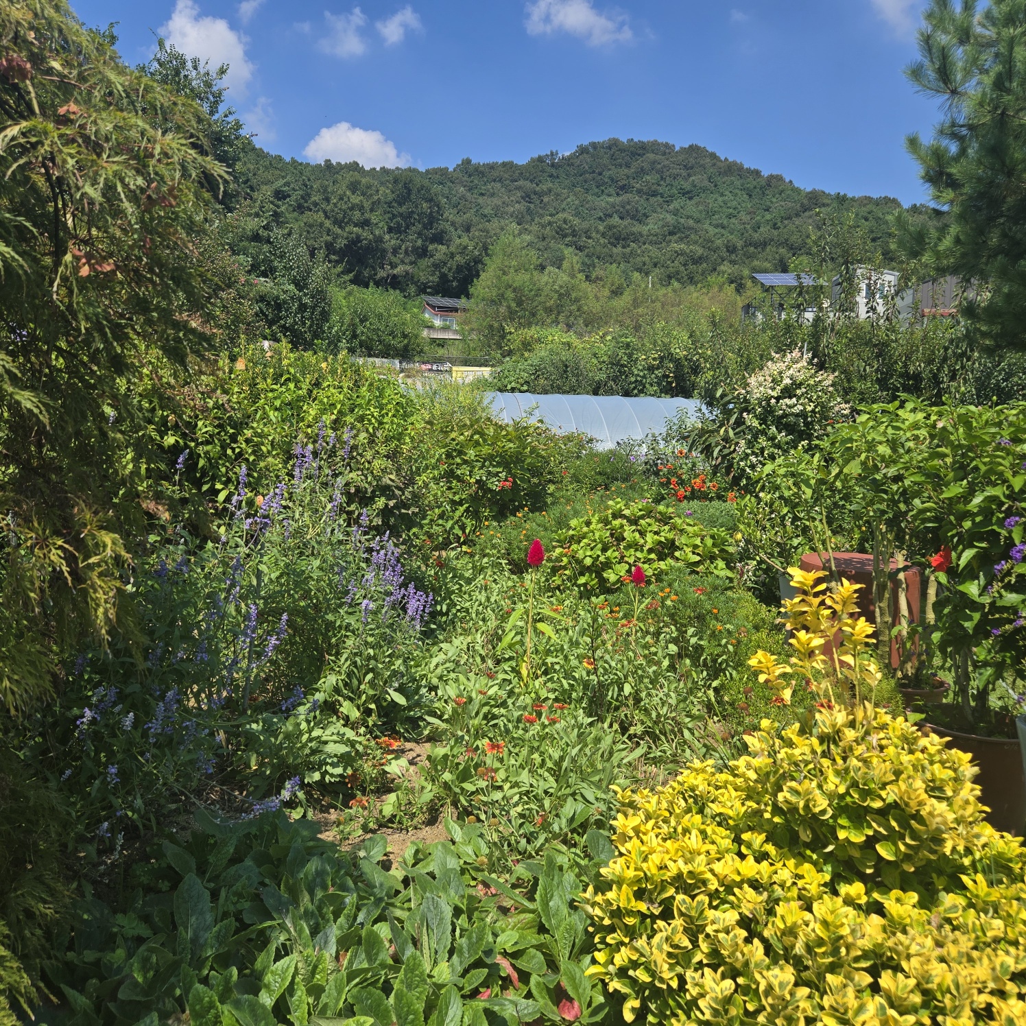 꽃들이 만발 화원같은 전원주택. 사진 - 16