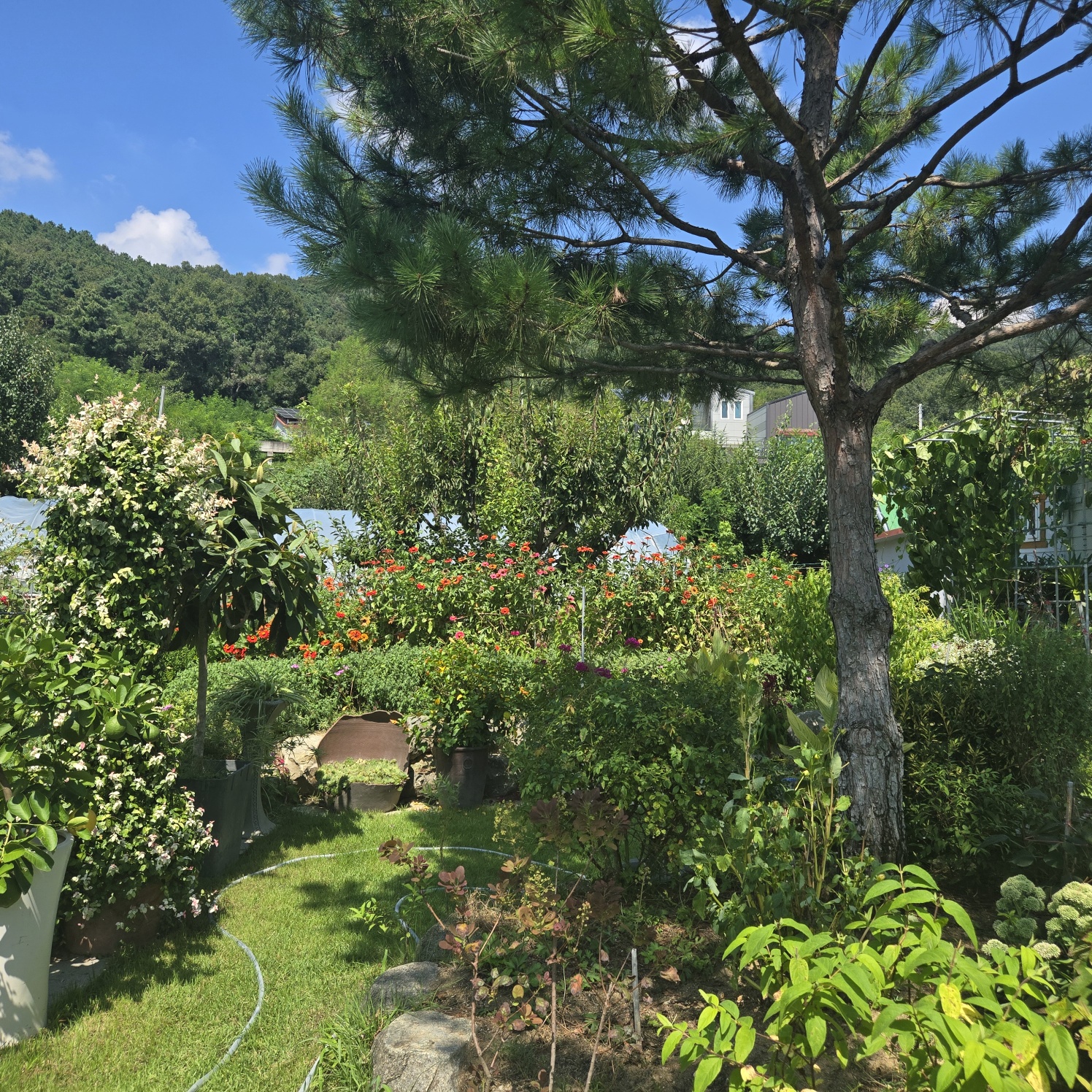 꽃들이 만발 화원같은 전원주택. 사진 - 18