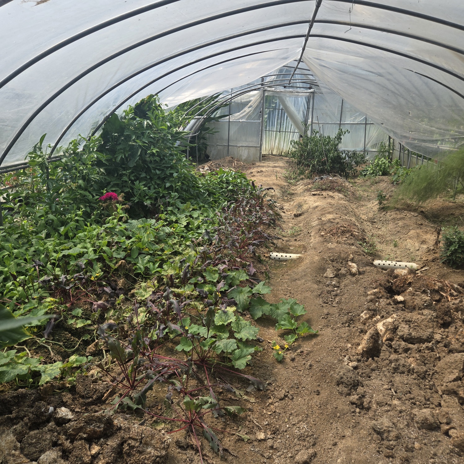 꽃들이 만발 화원같은 전원주택. 사진 - 24