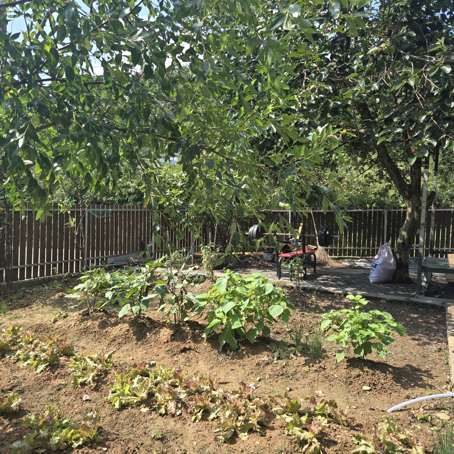 대구다사 20분 올리모델링주택매매 사진 - 9