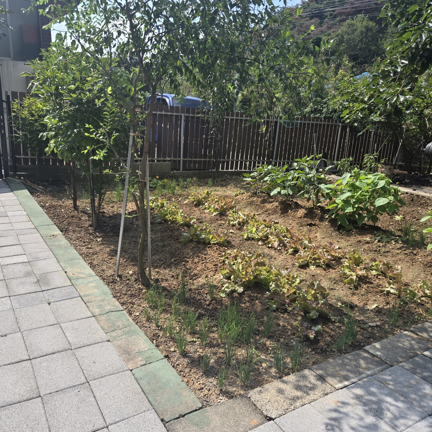 대구다사 20분 올리모델링주택매매 사진 - 10