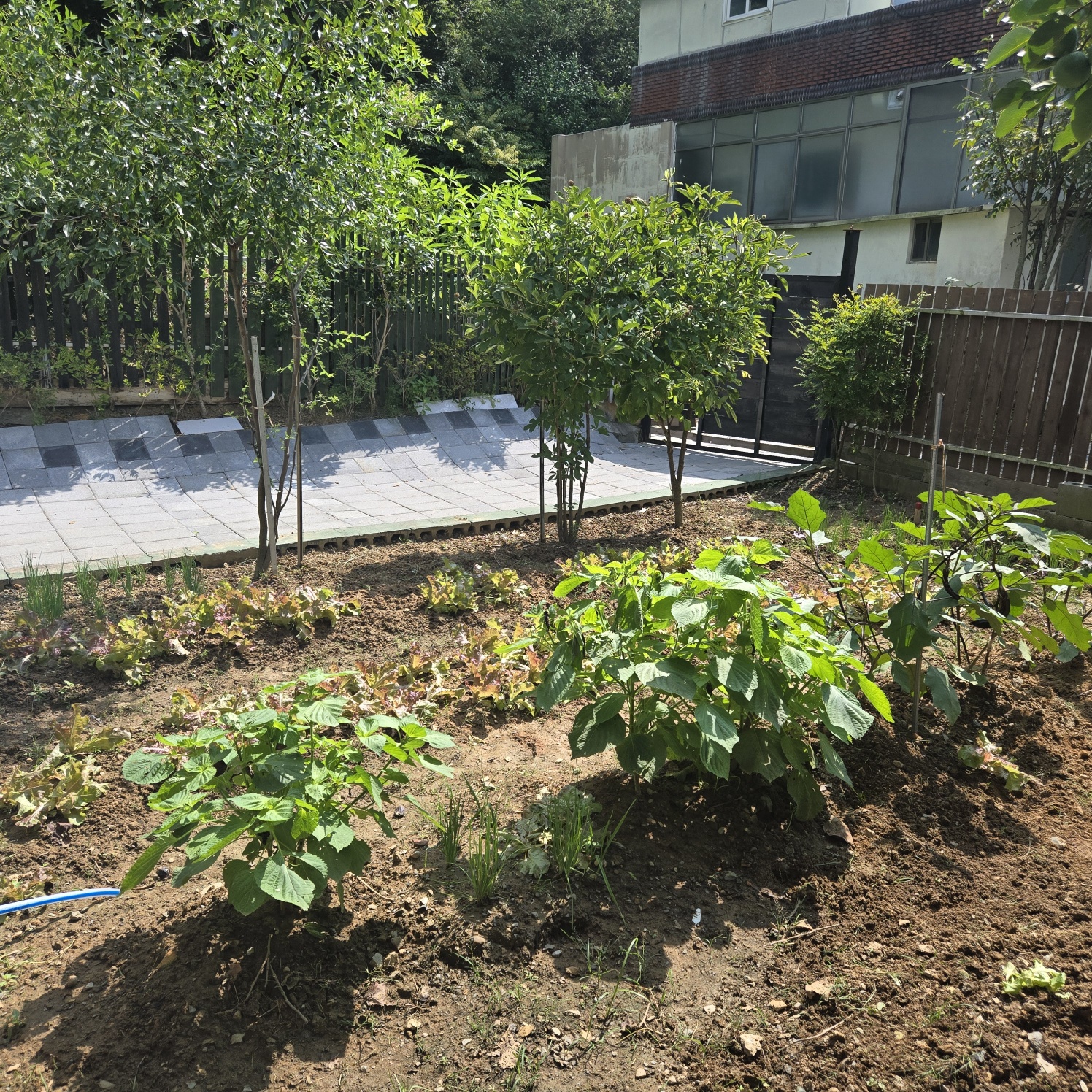 대구다사 20분 올리모델링주택매매 사진 - 11