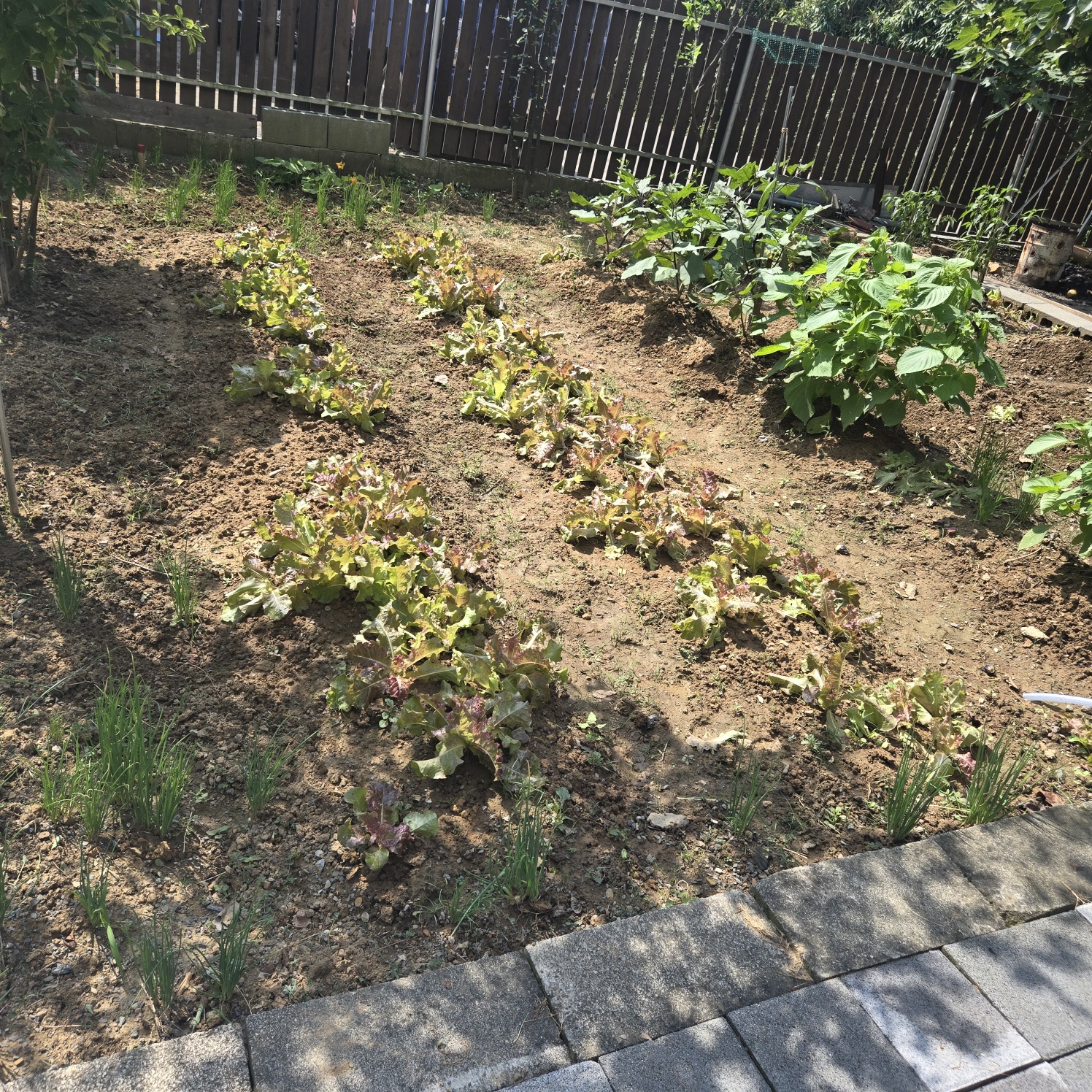 대구다사 20분 올리모델링주택매매 사진 - 14