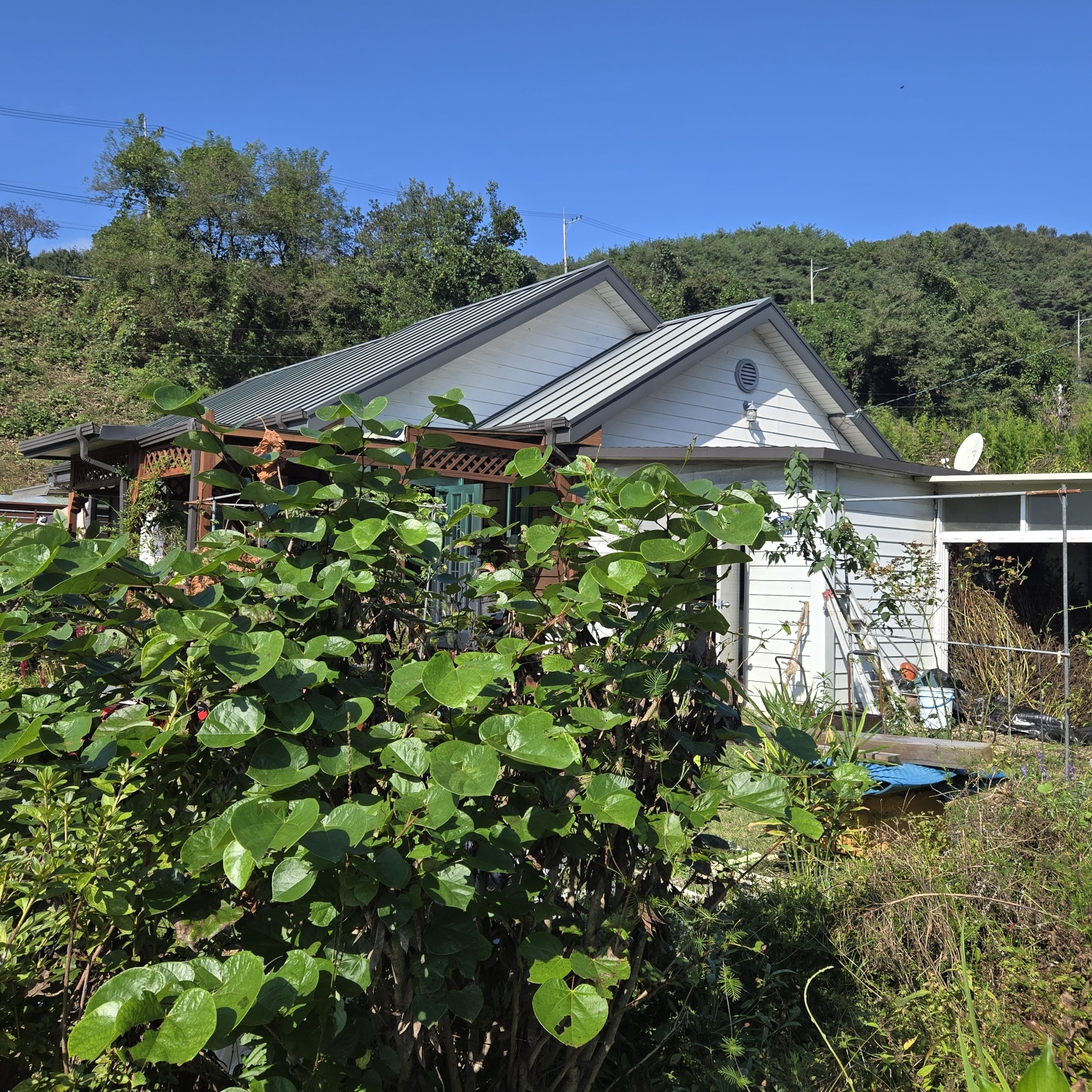 청정공기전원주택 사진 - 5