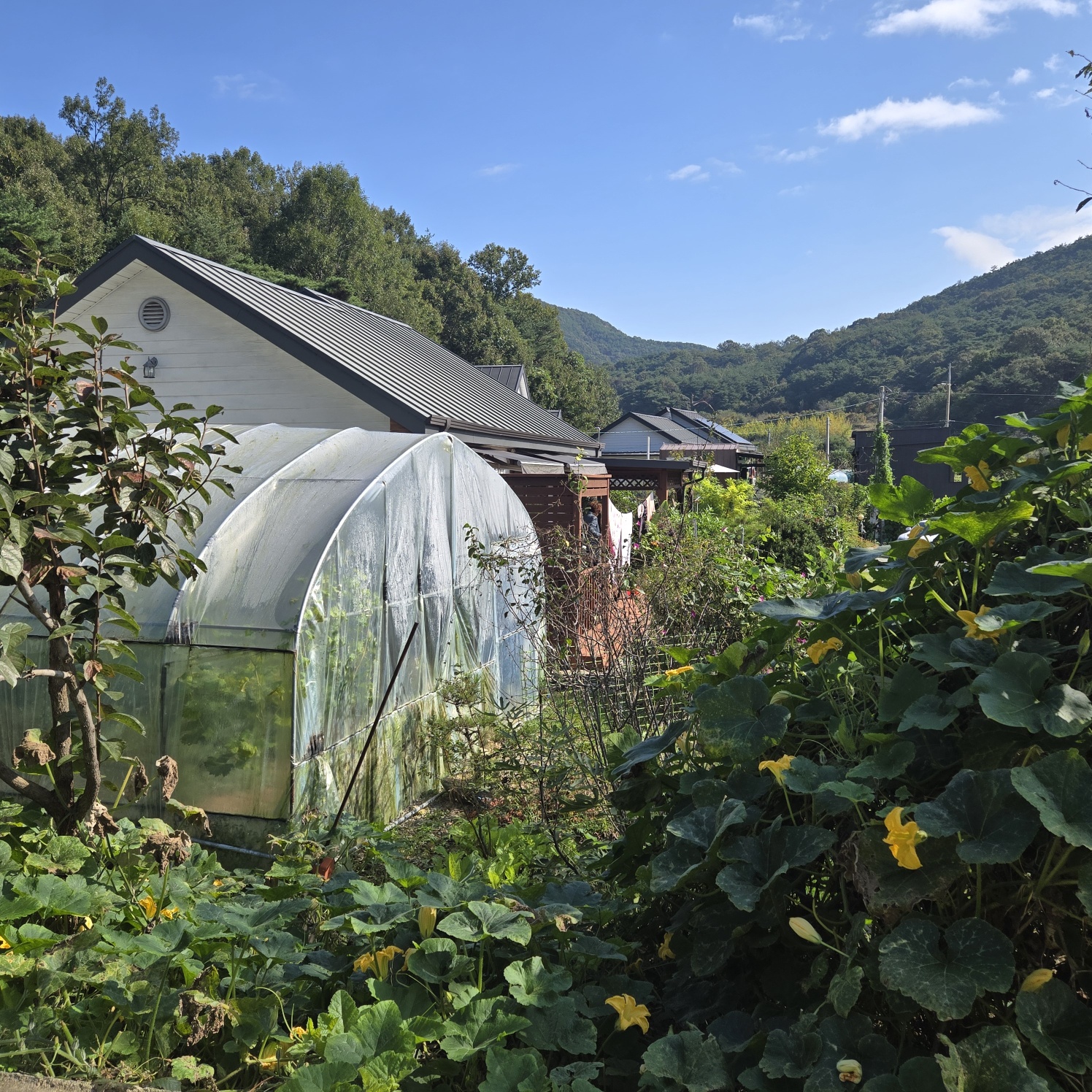 청정공기전원주택 사진 - 7