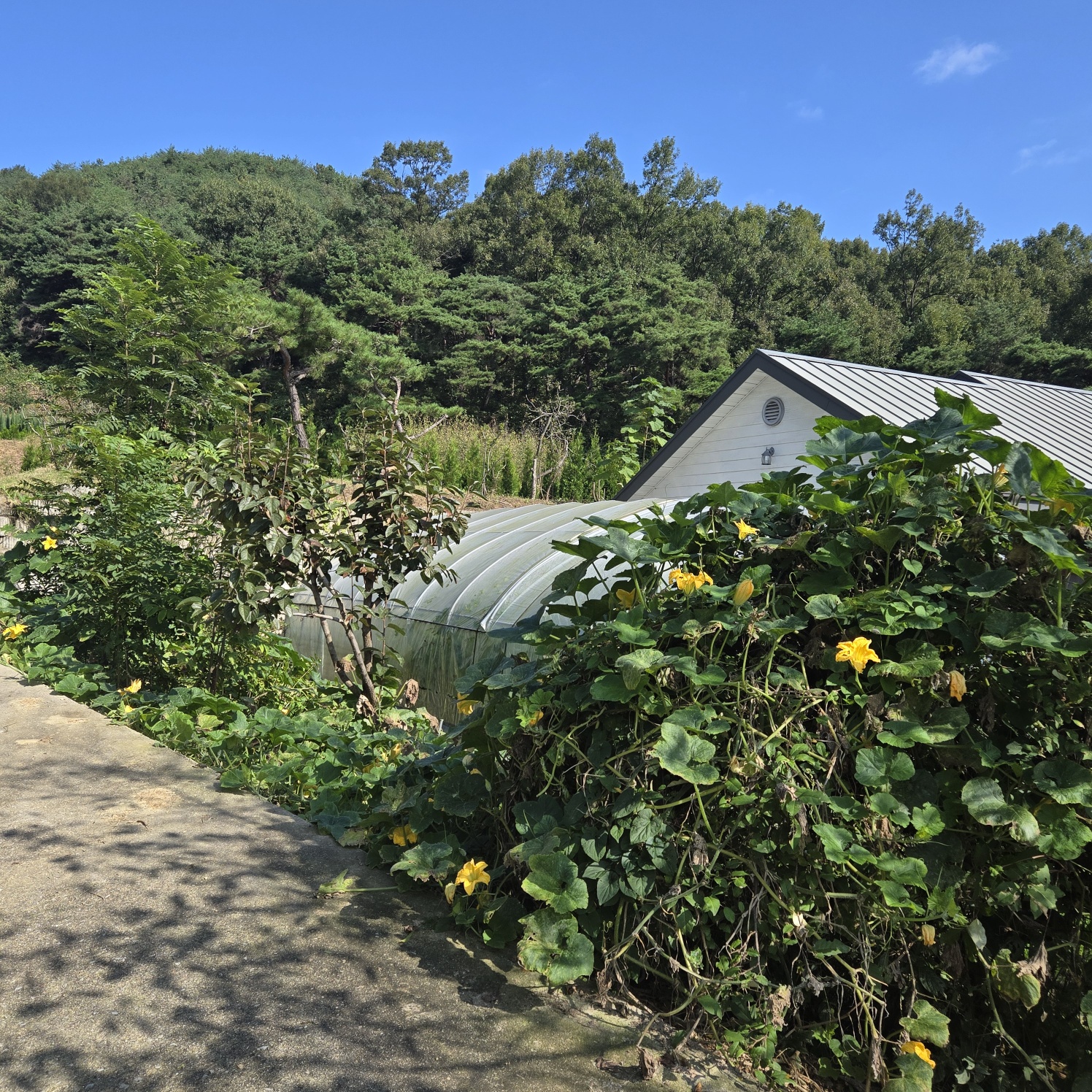 청정공기전원주택 사진 - 8