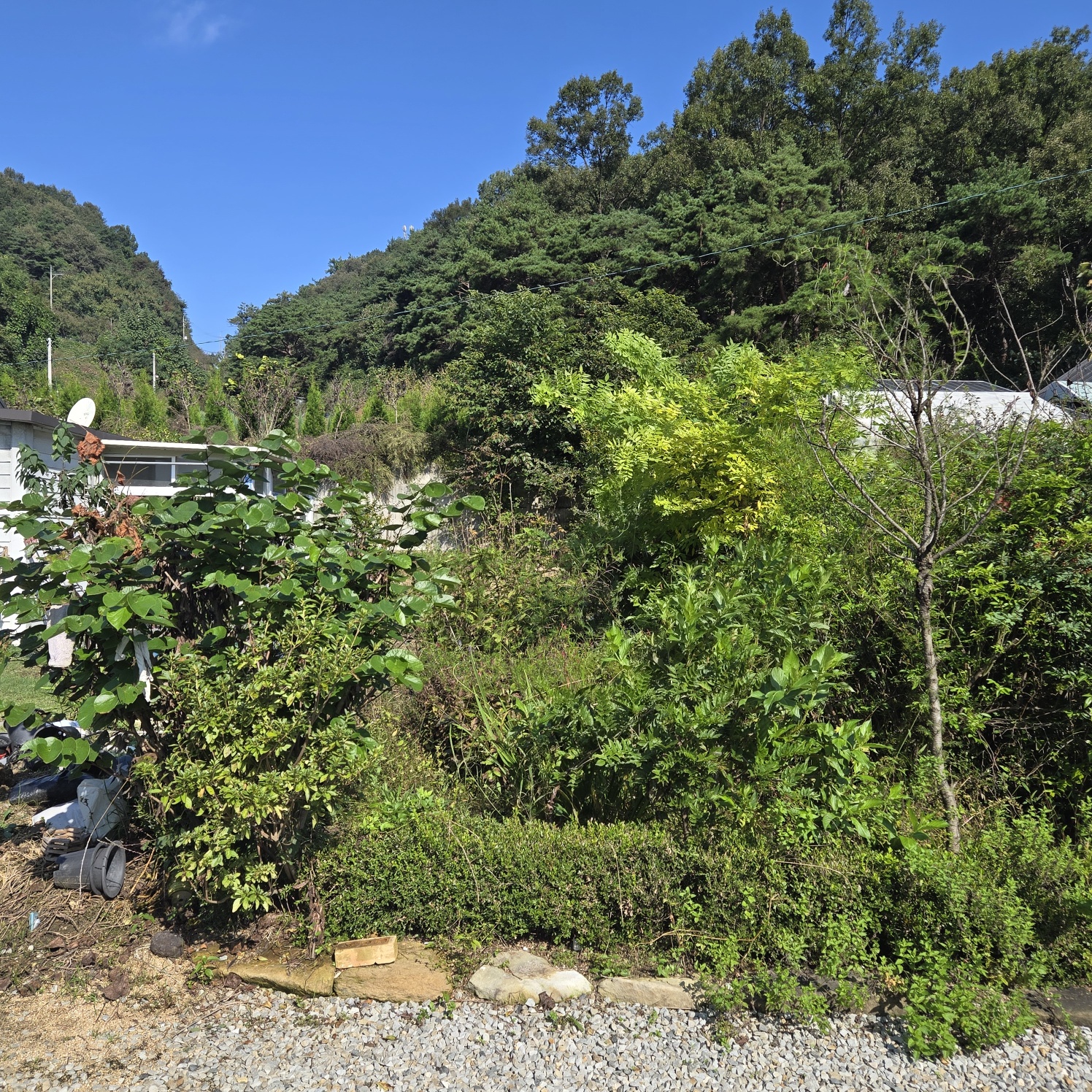 청정공기전원주택 사진 - 9