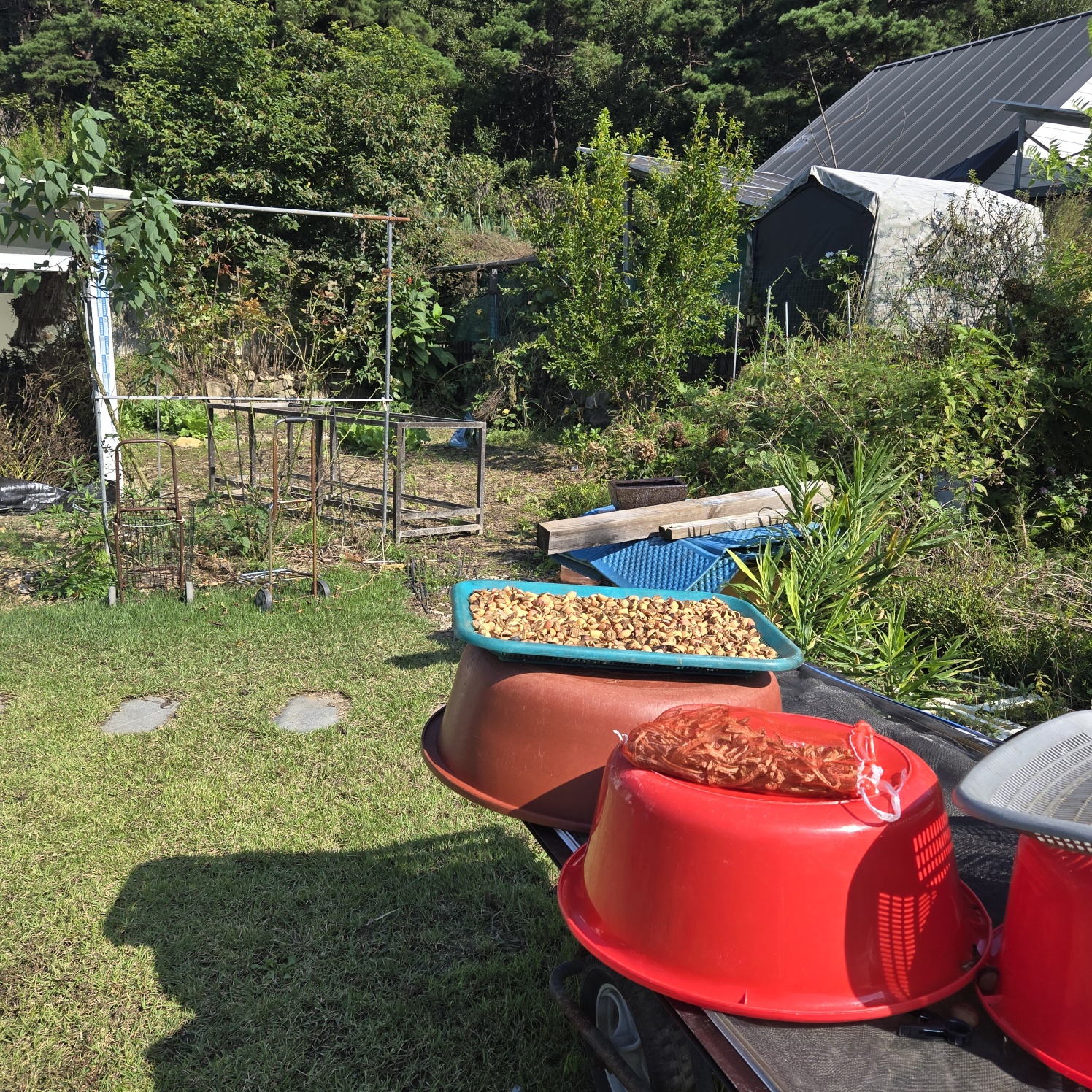 청정공기전원주택 사진 - 10