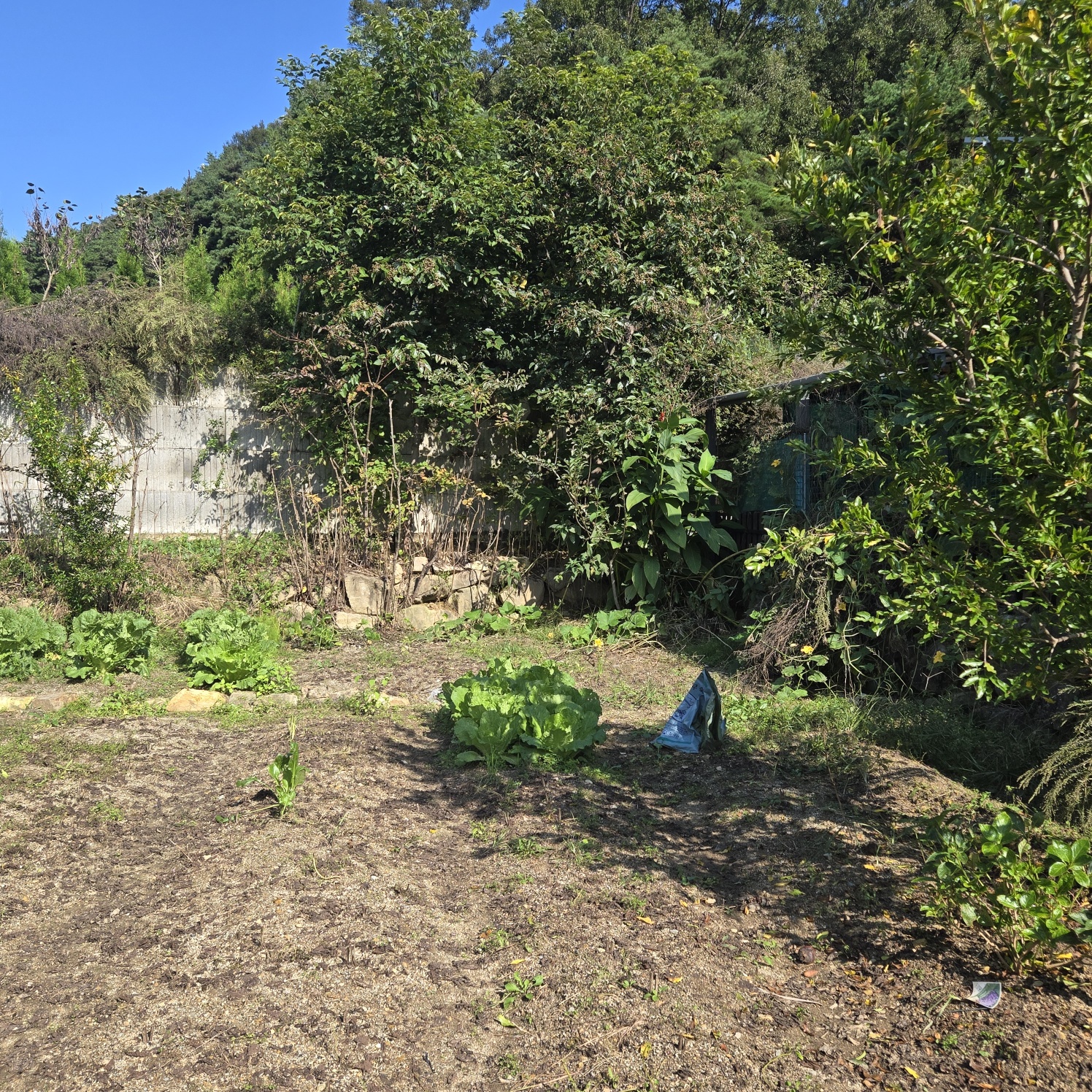 청정공기전원주택 사진 - 12