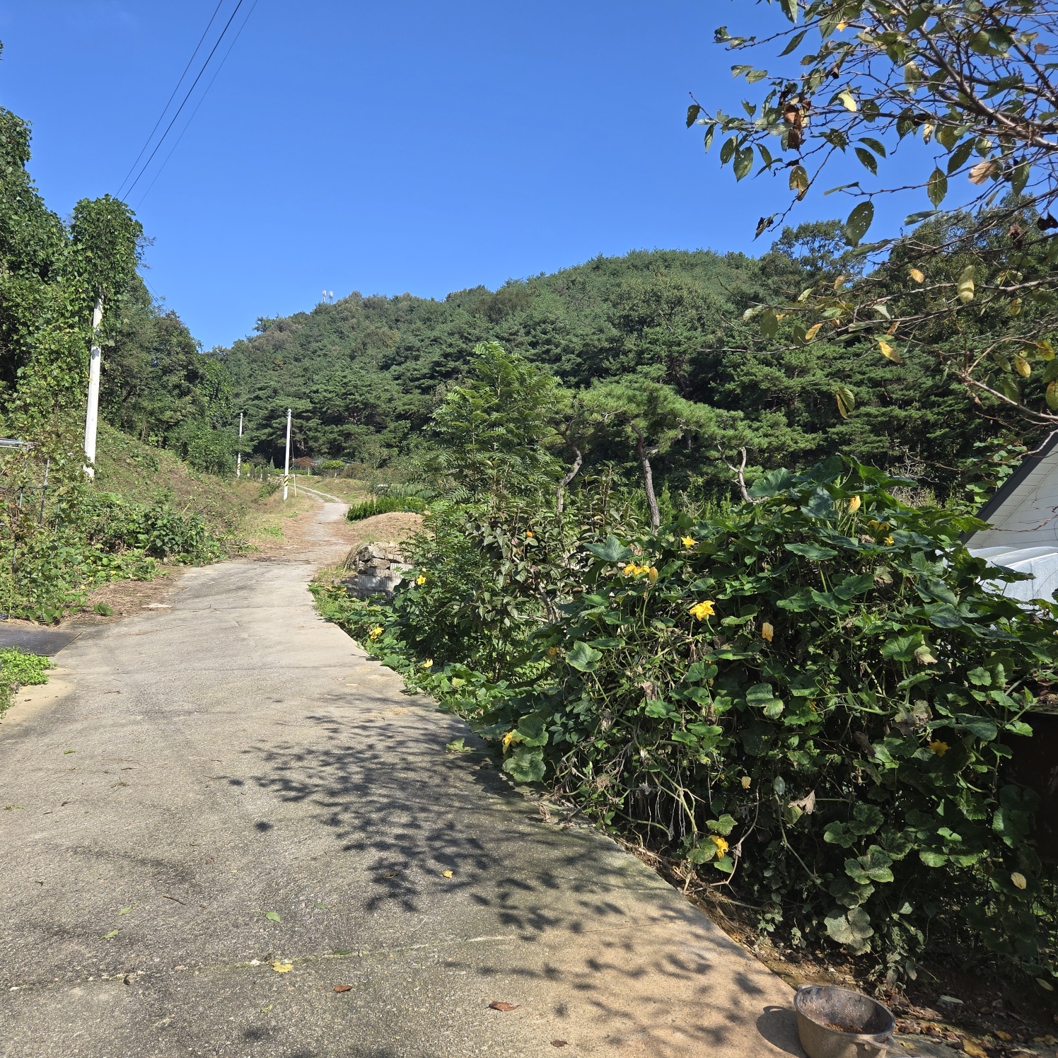 청정공기전원주택 사진 - 14