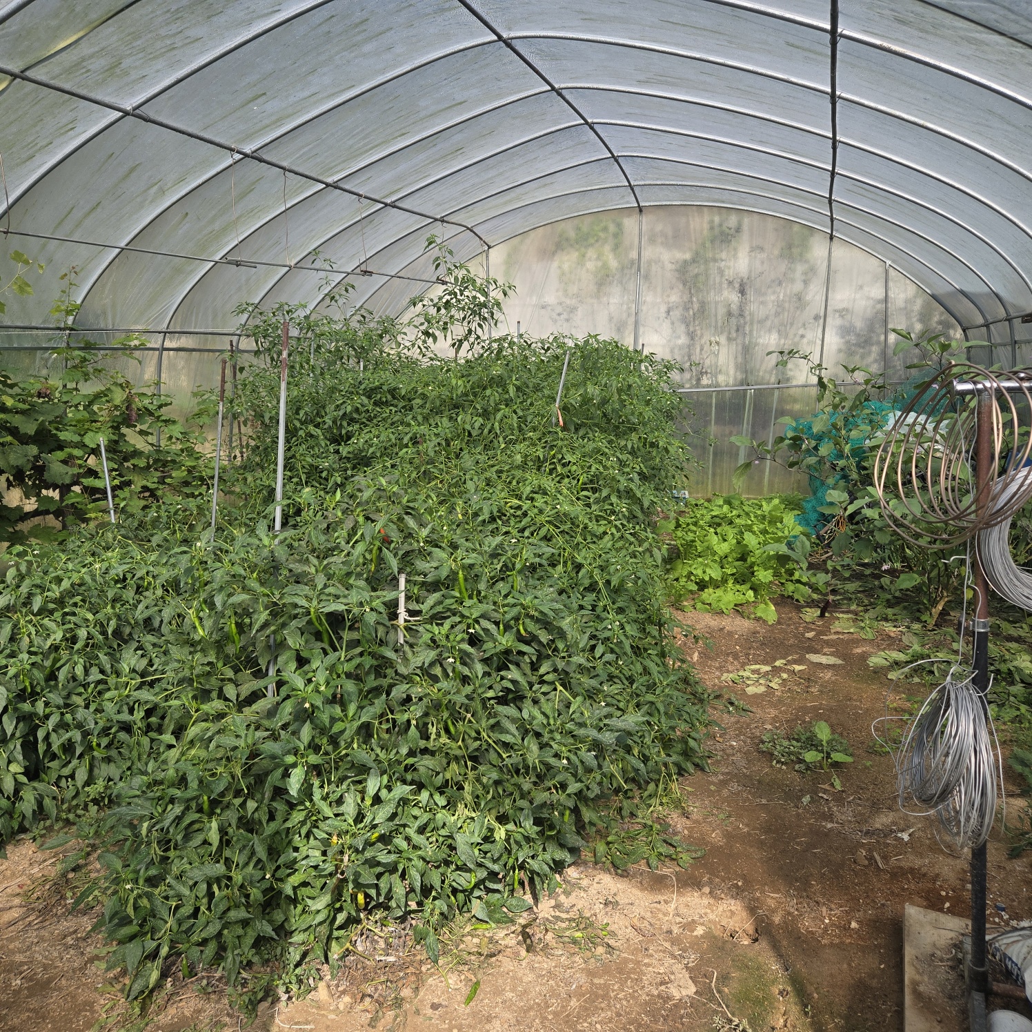 청정공기전원주택 사진 - 15