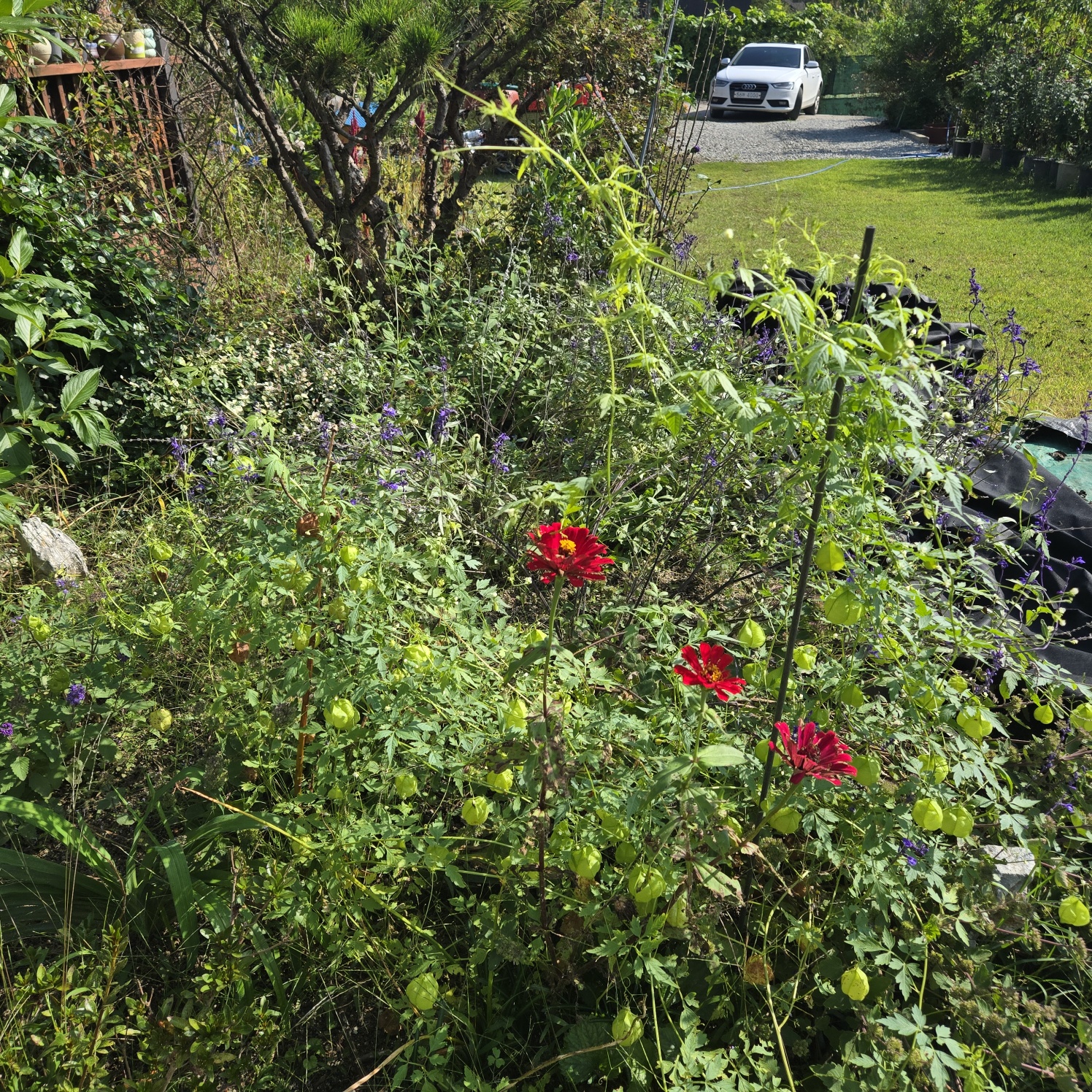 청정공기전원주택 사진 - 16