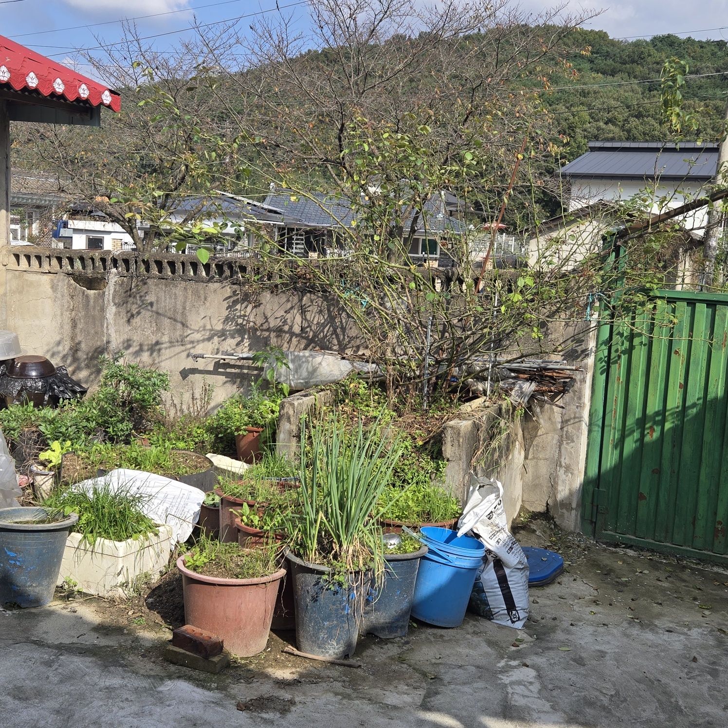 성주읍 쓸만한촌집 사진 - 6