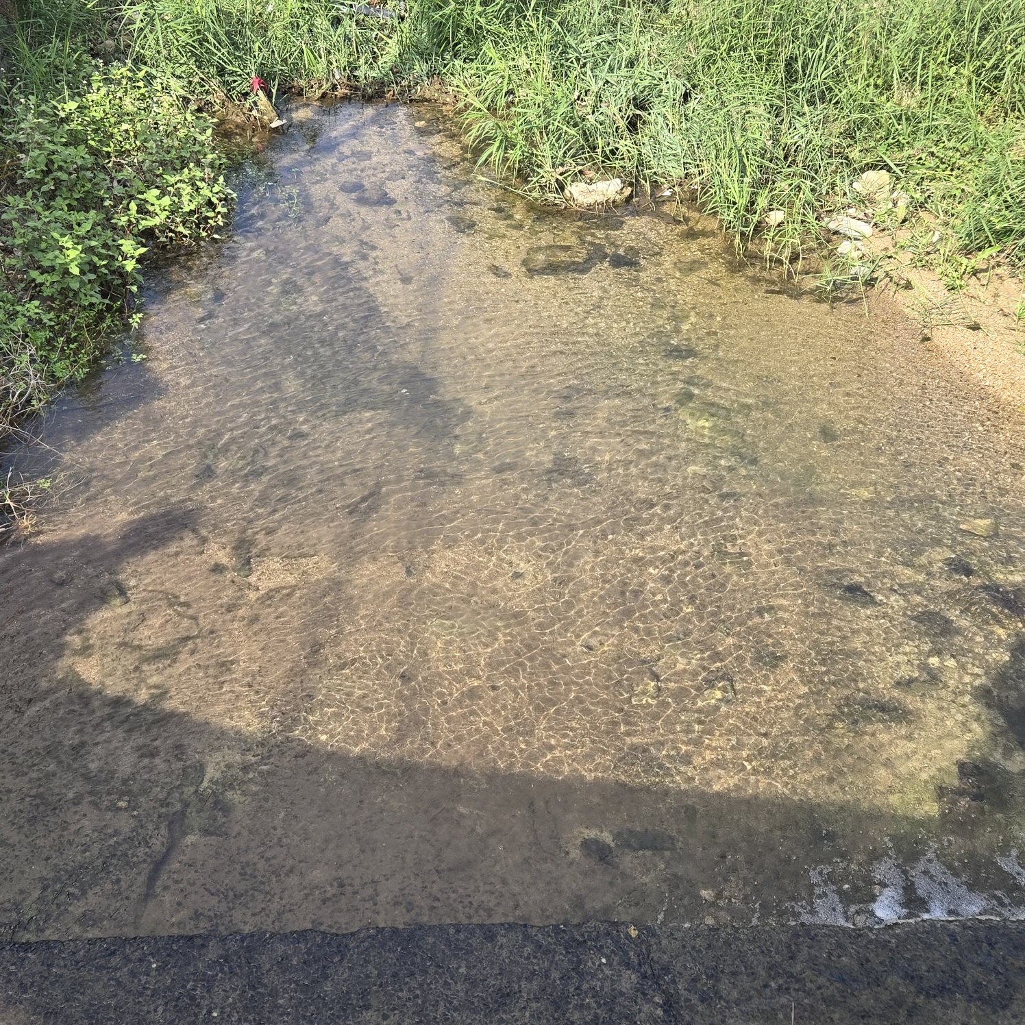 성주읍 쓸만한촌집 사진 - 7