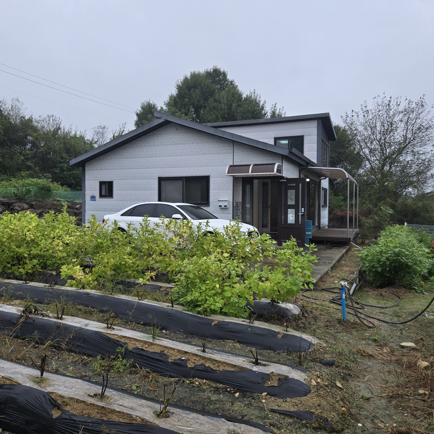 급 성주 I.C근처전원주택매매임대 사진 - 1