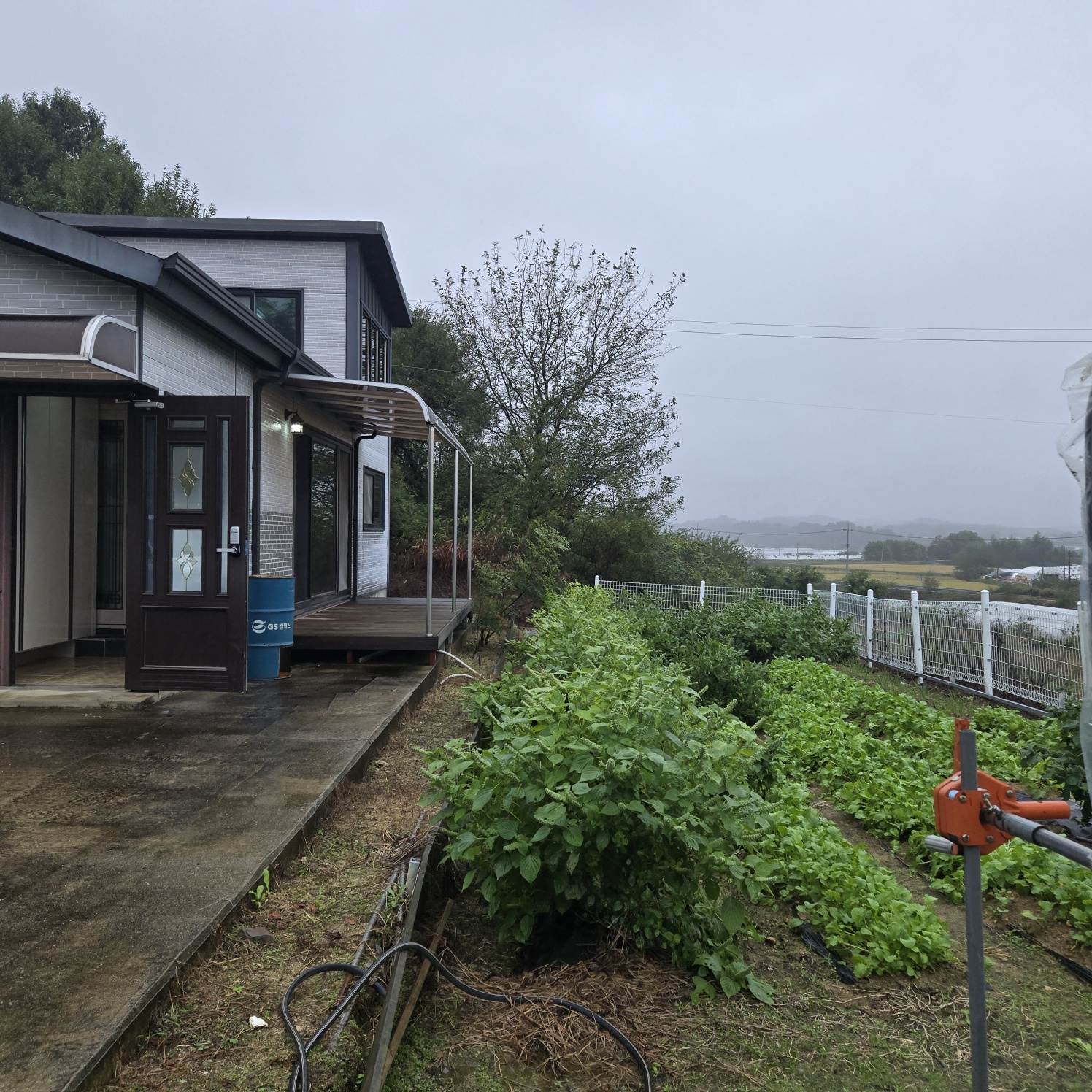 급 성주 I.C근처전원주택매매임대 사진 - 3