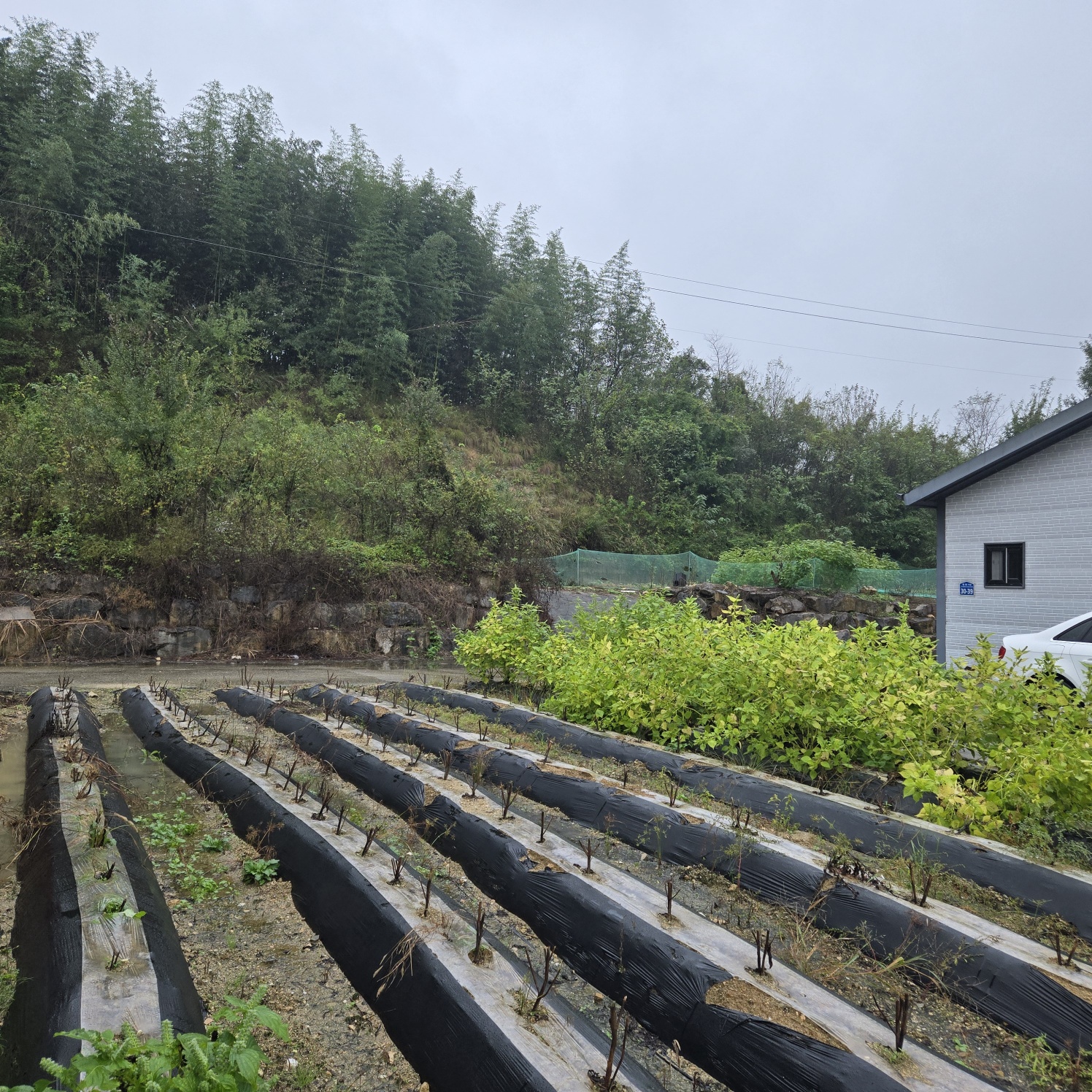 급 성주 I.C근처전원주택매매임대 사진 - 4