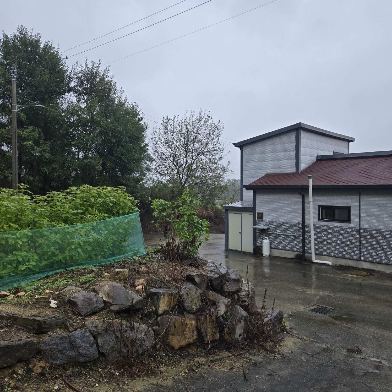 급 성주 I.C근처전원주택매매임대 사진 - 8