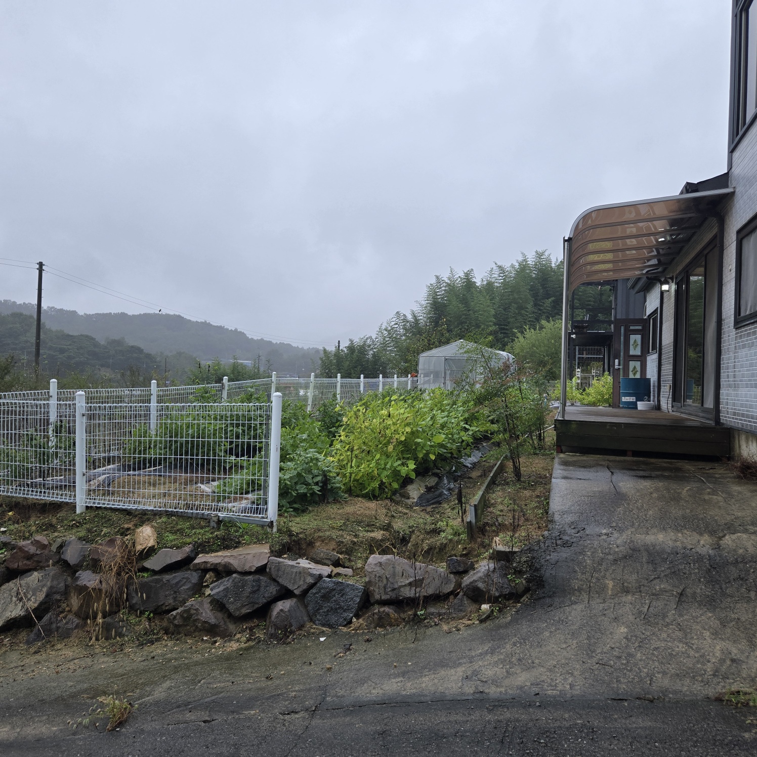 급 성주 I.C근처전원주택매매임대 사진 - 11