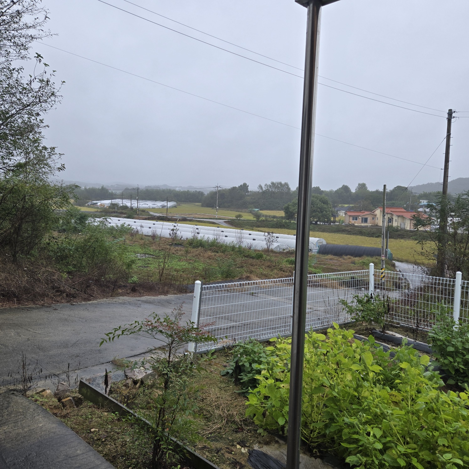 급 성주 I.C근처전원주택매매임대 사진 - 12