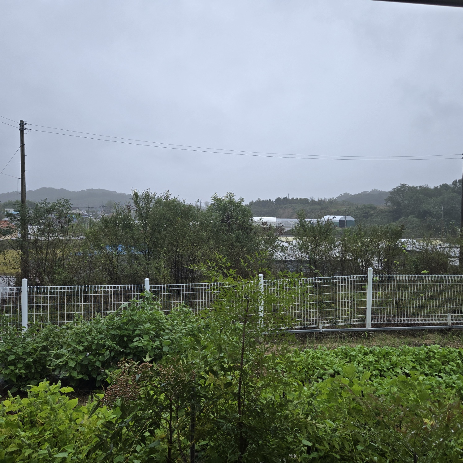 급 성주 I.C근처전원주택매매임대 사진 - 13