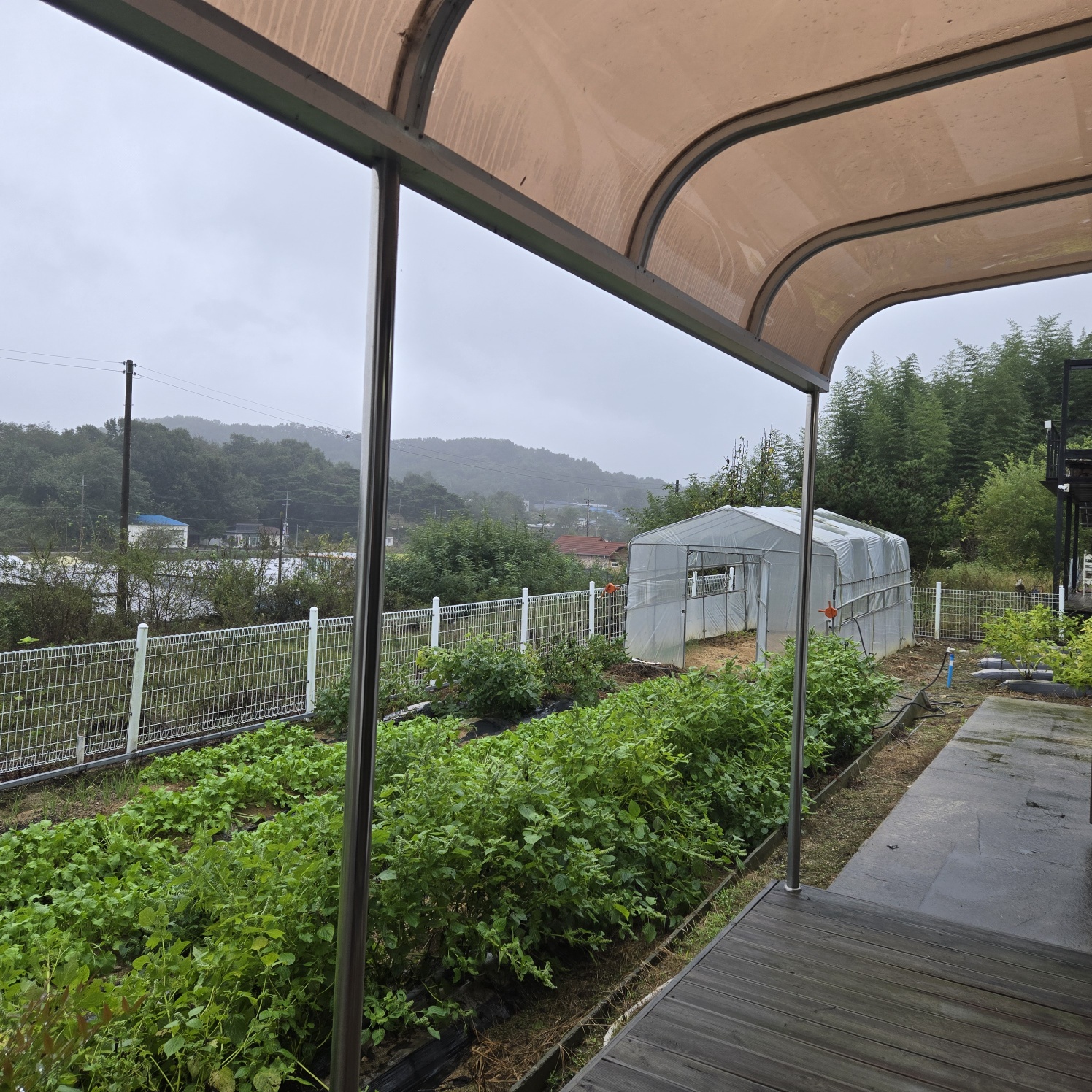 급 성주 I.C근처전원주택매매임대 사진 - 16