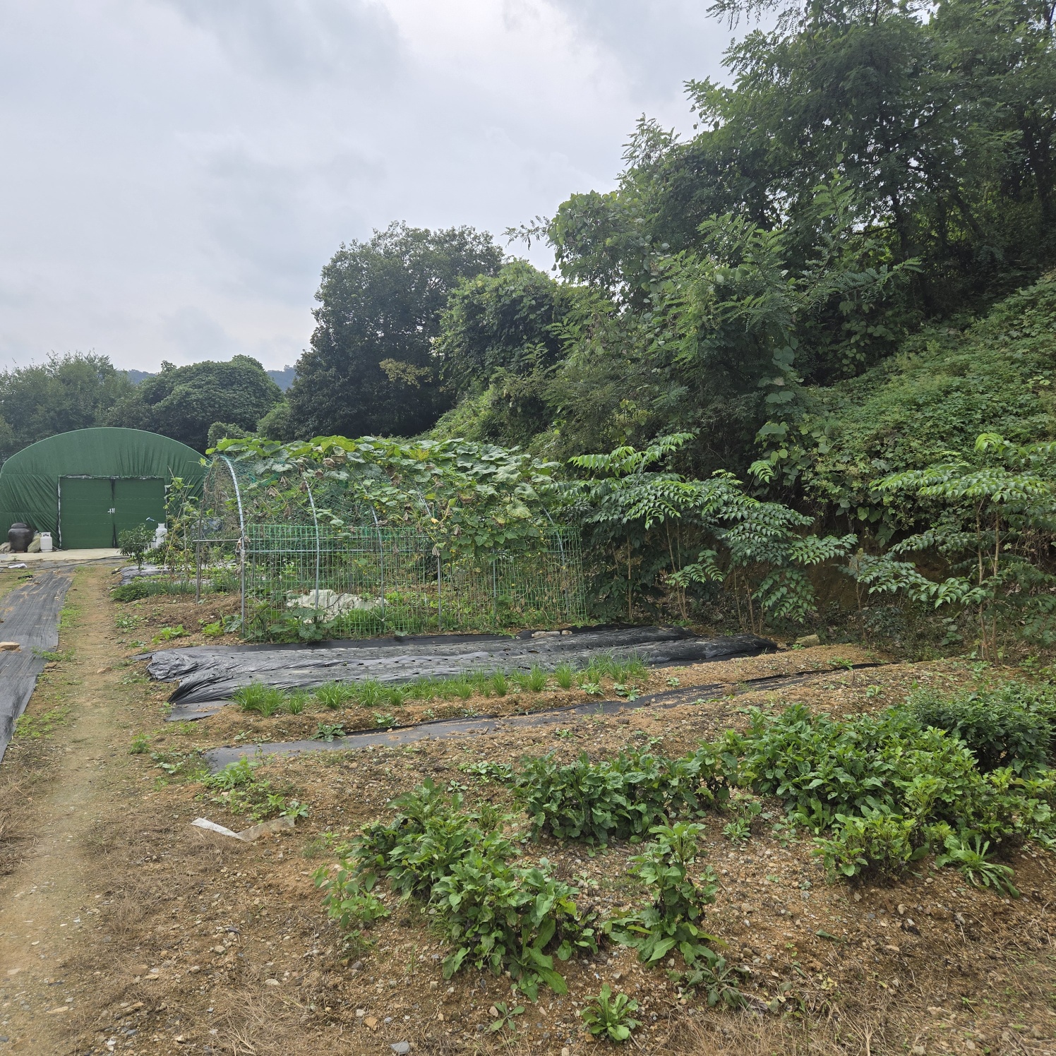 전망좋은 산자락텃밭주택지 사진 - 2