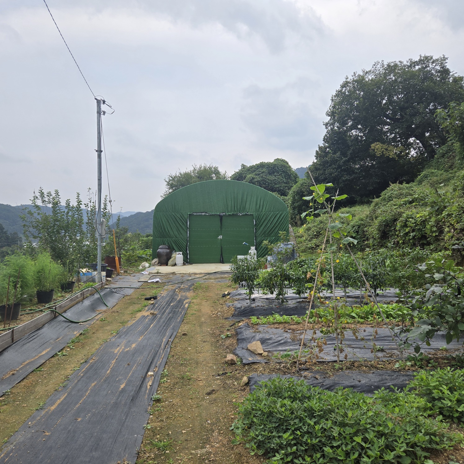 전망좋은 산자락텃밭주택지 사진 - 7