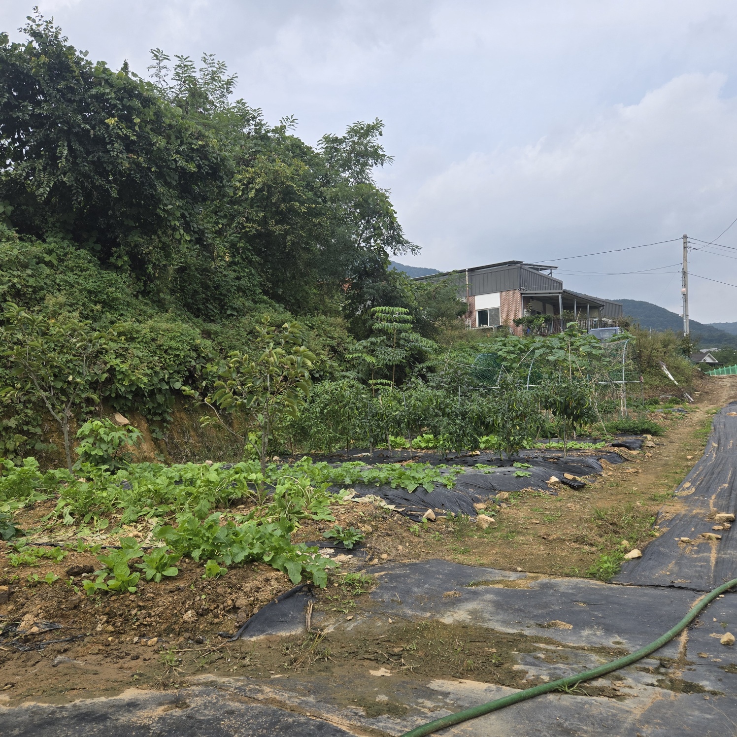 전망좋은 산자락텃밭주택지 사진 - 8