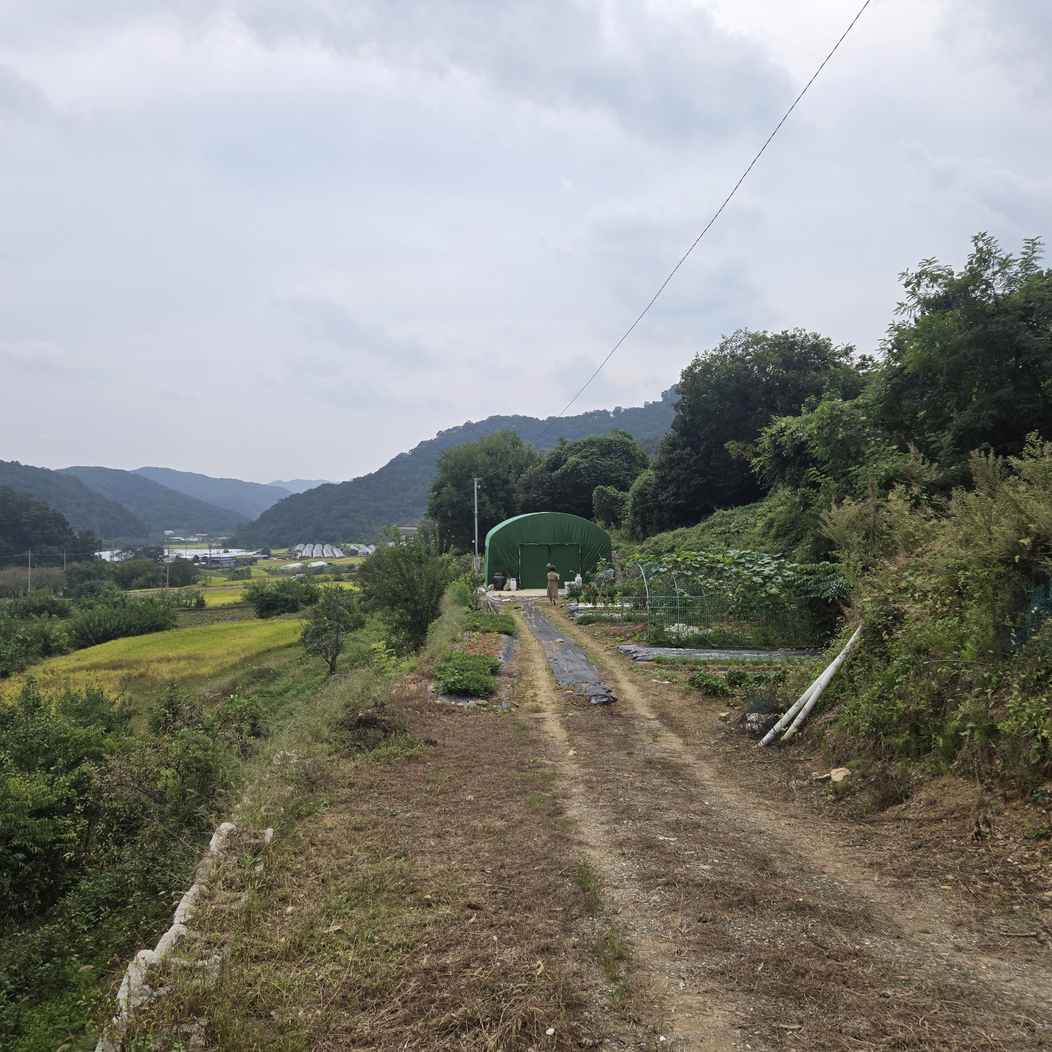 전망좋은 산자락텃밭주택지 사진 - 11