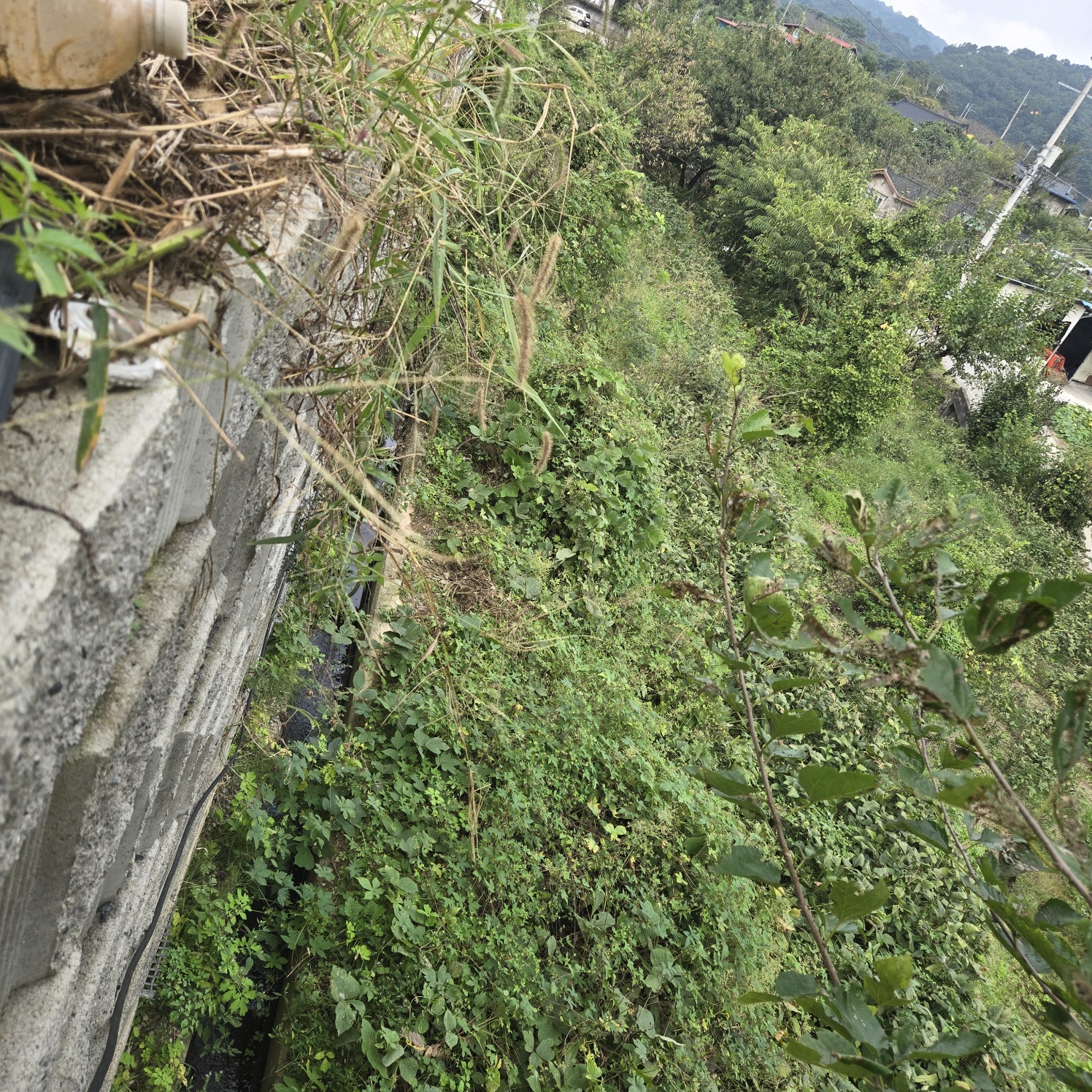 전망좋은 산자락텃밭주택지 사진 - 18