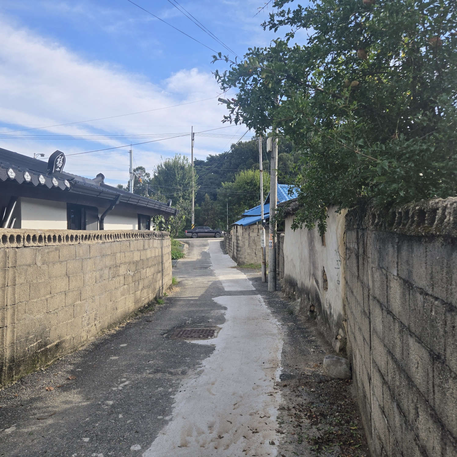 마당넓은 정겨운시골집 사진 - 9