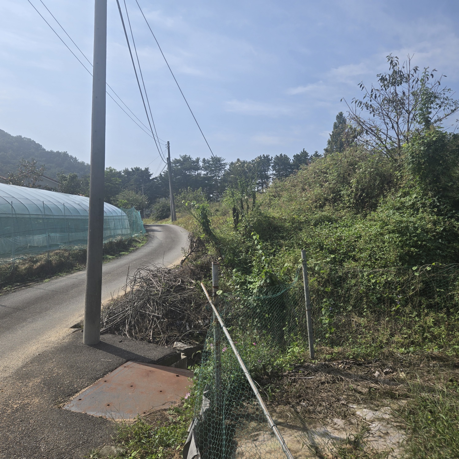 선남 산자락 텃밭주택지 사진 - 9