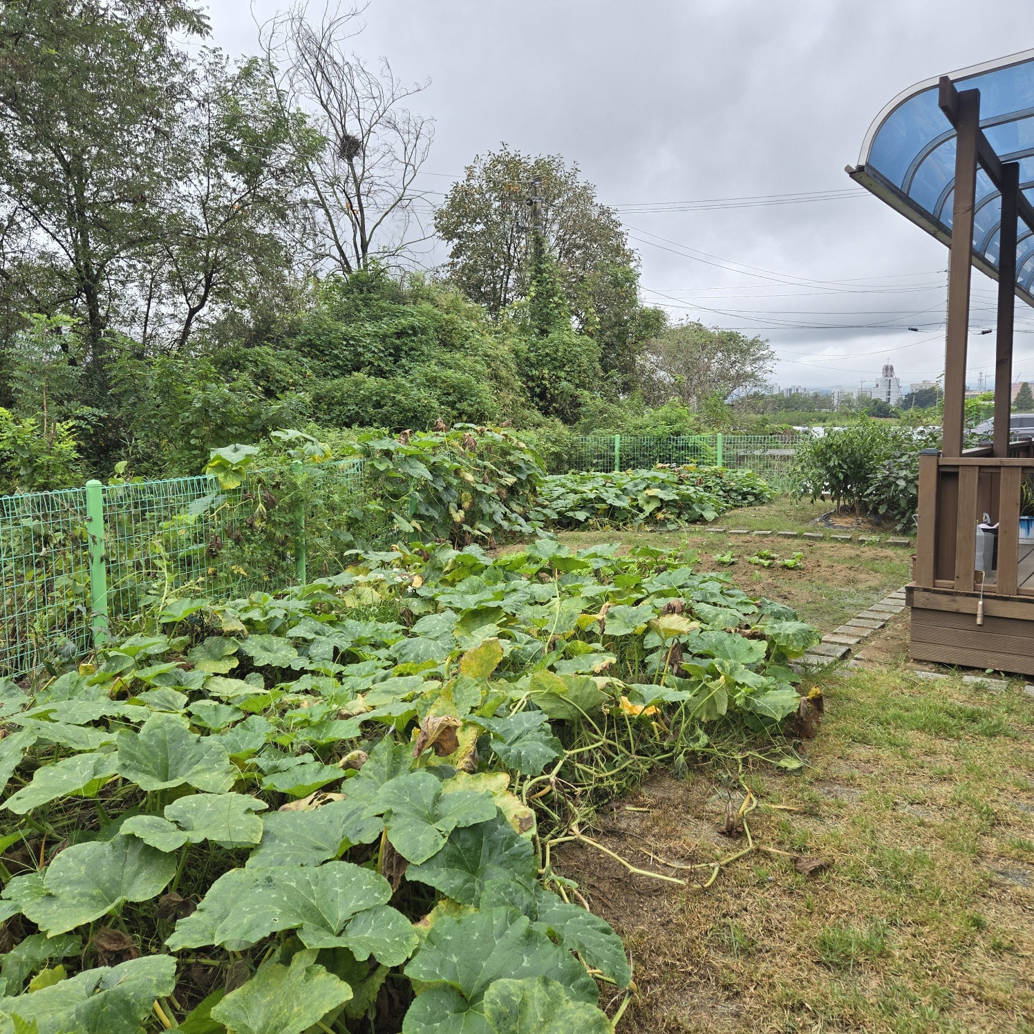 성주읍 조용한전원주택 사진 - 11